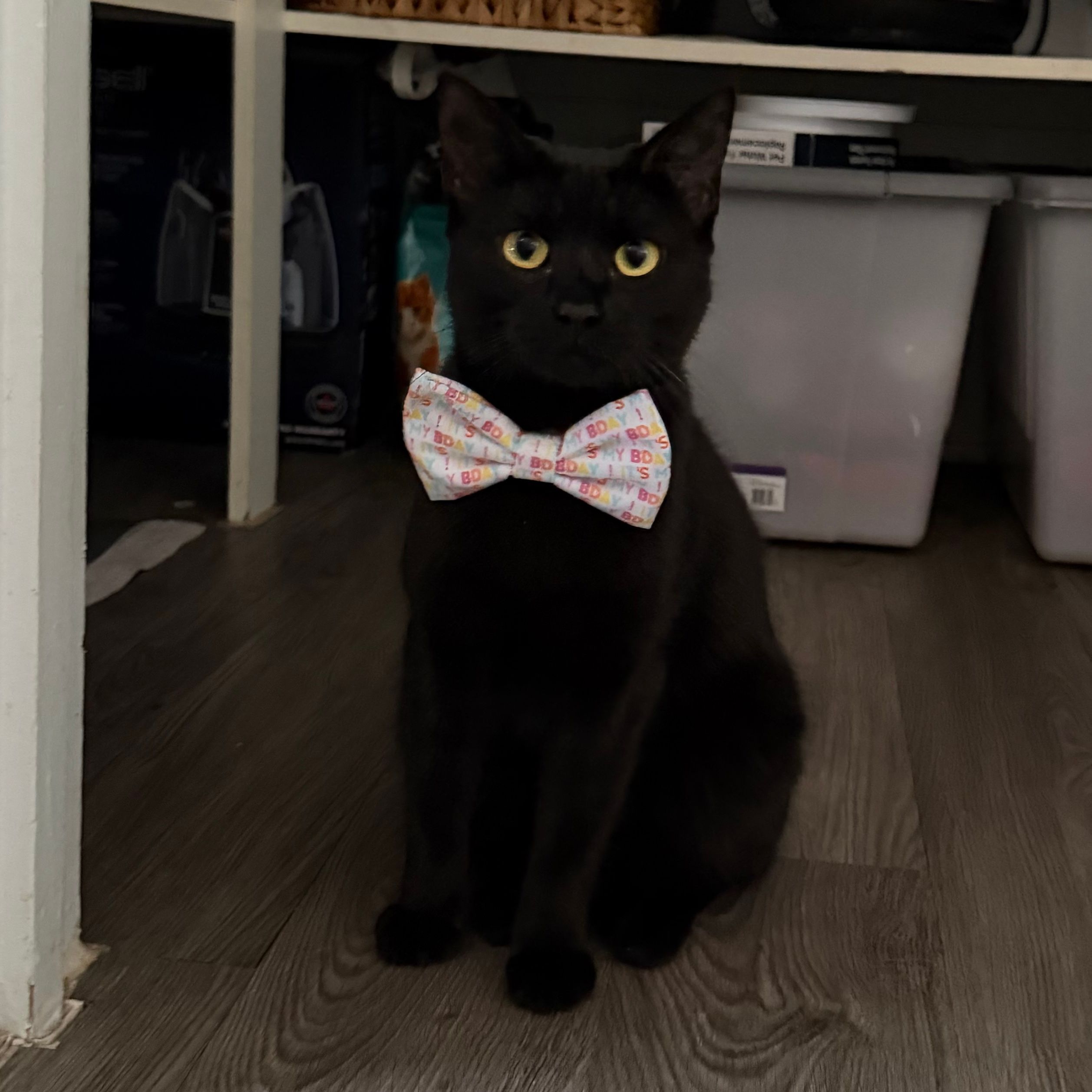 Milly