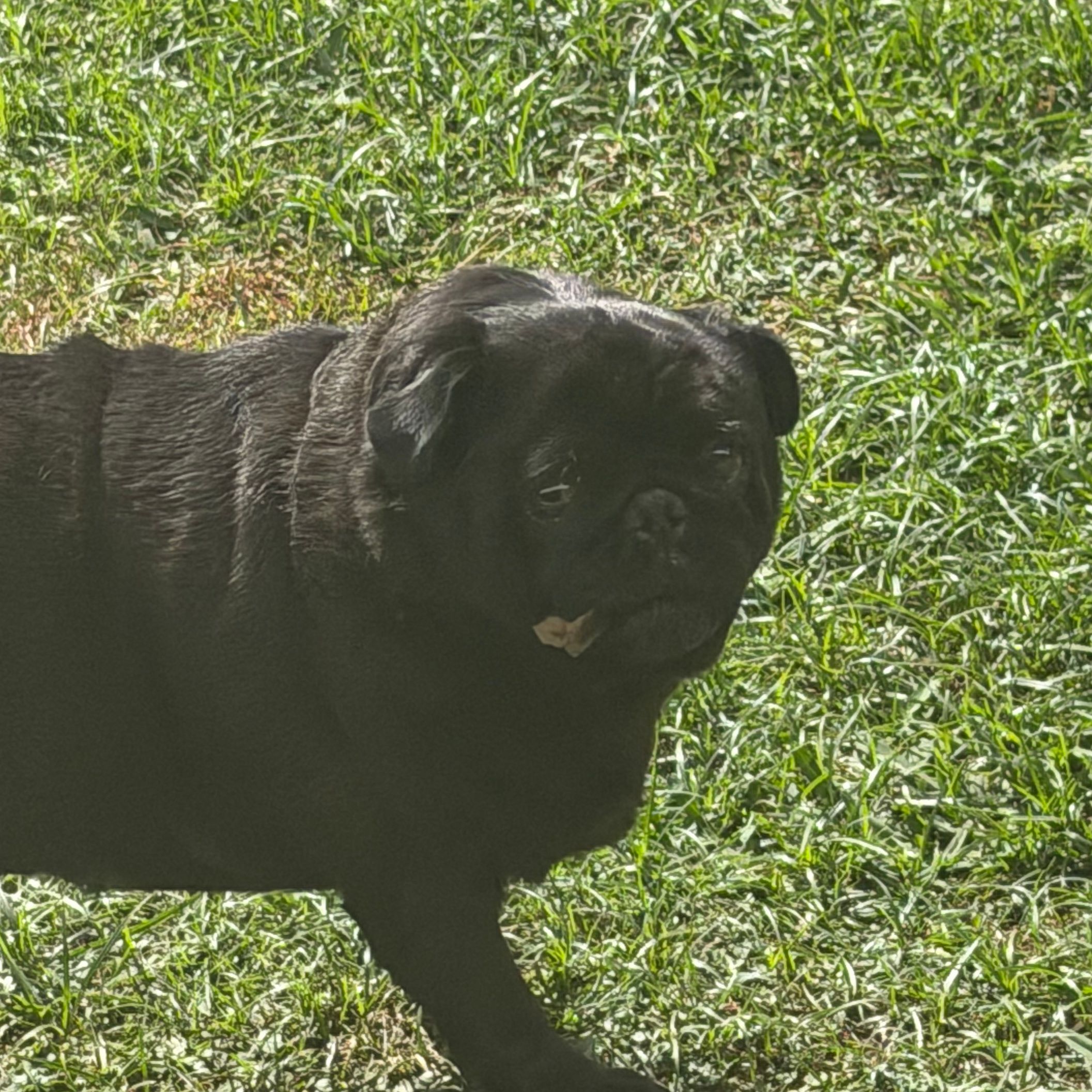 Mabel