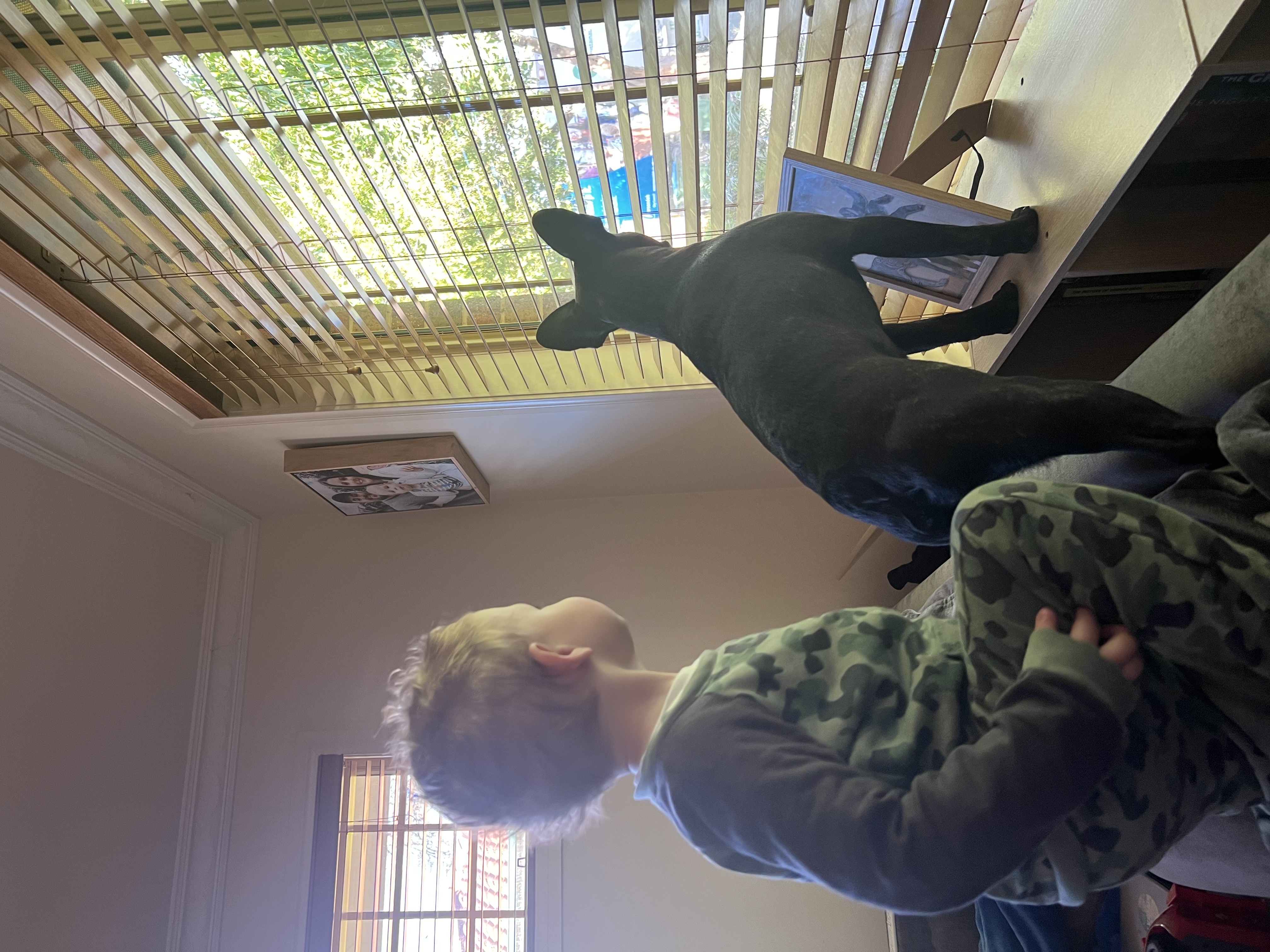 image-12