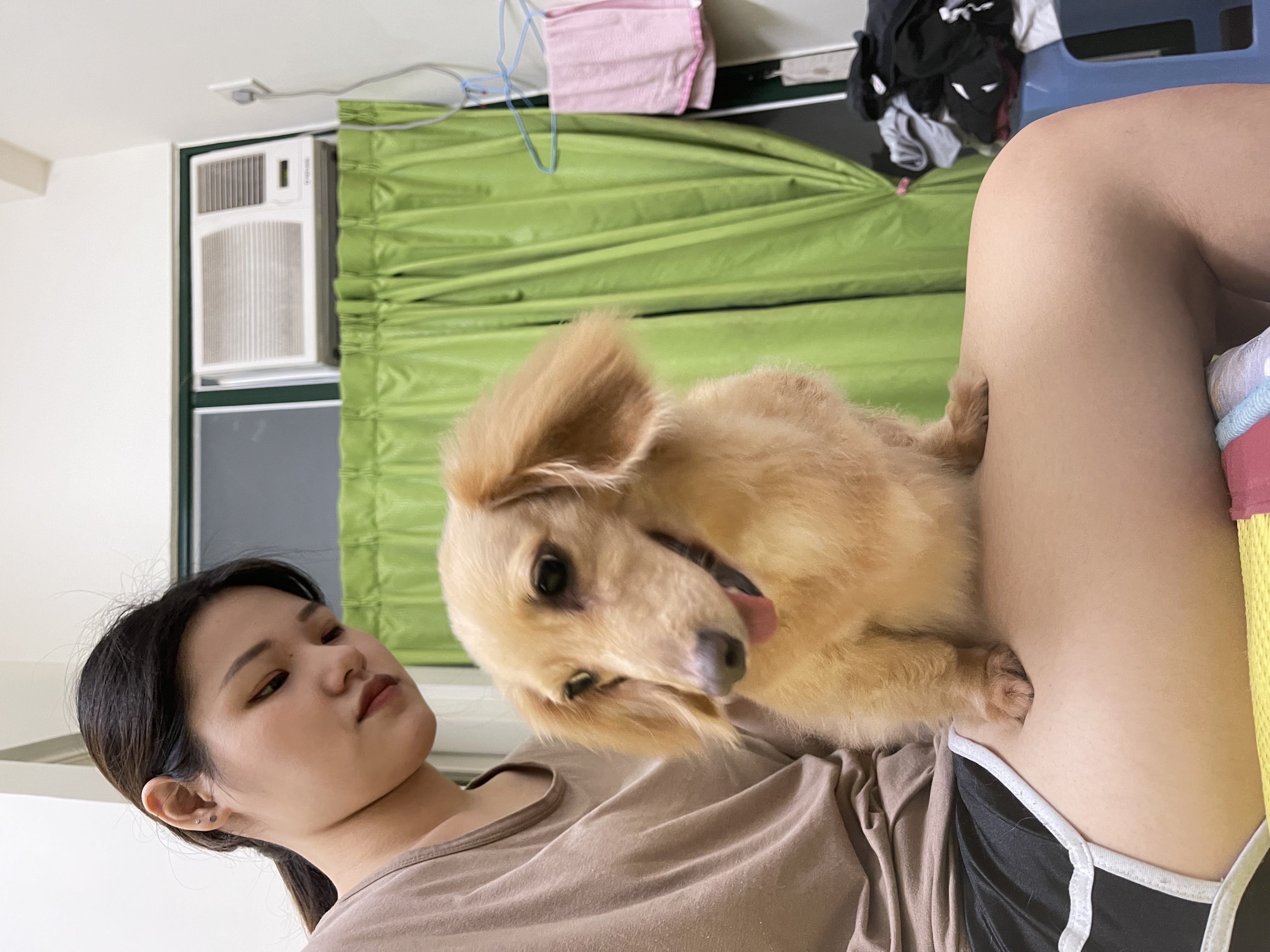 image-7