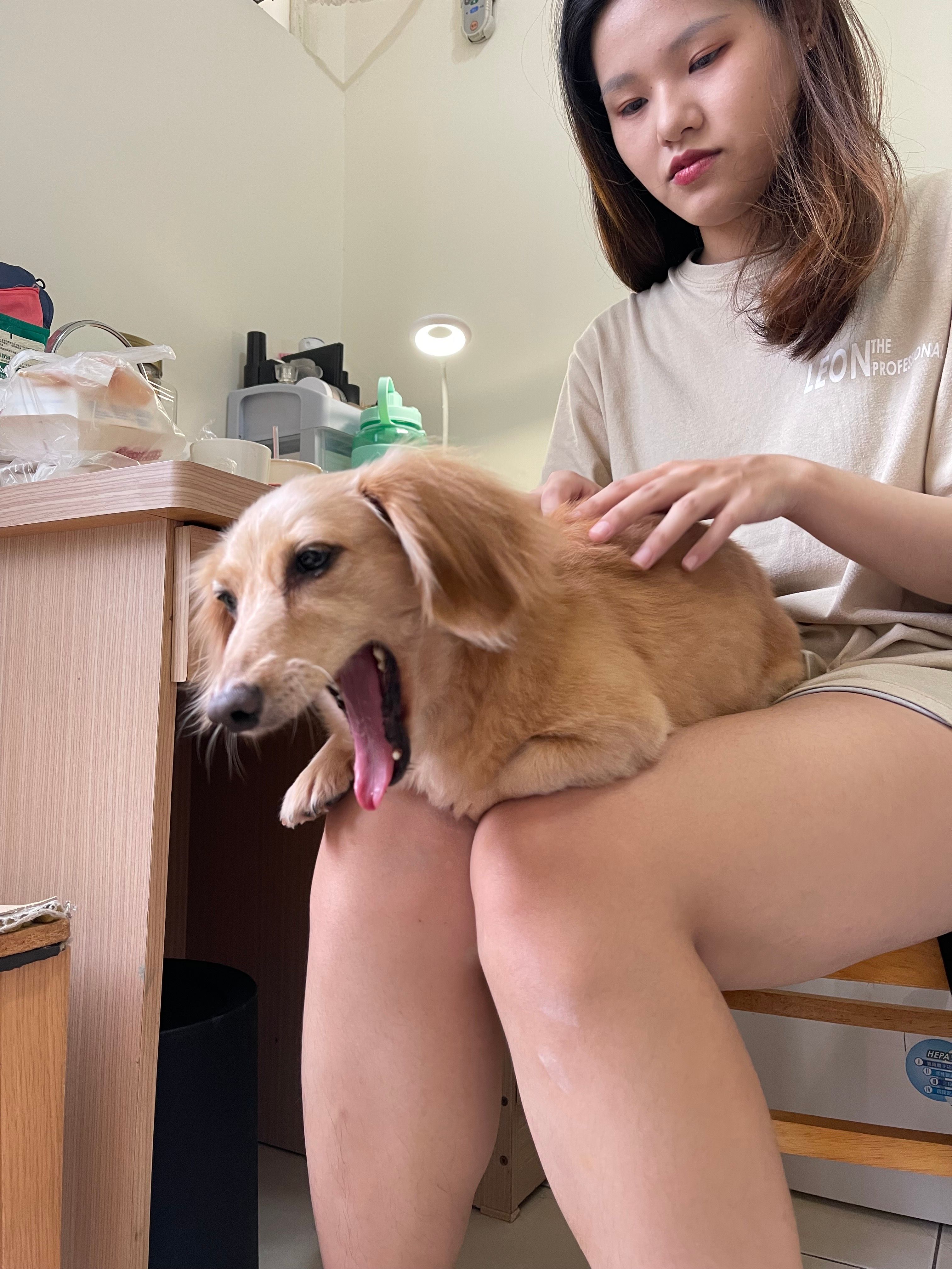 image-6