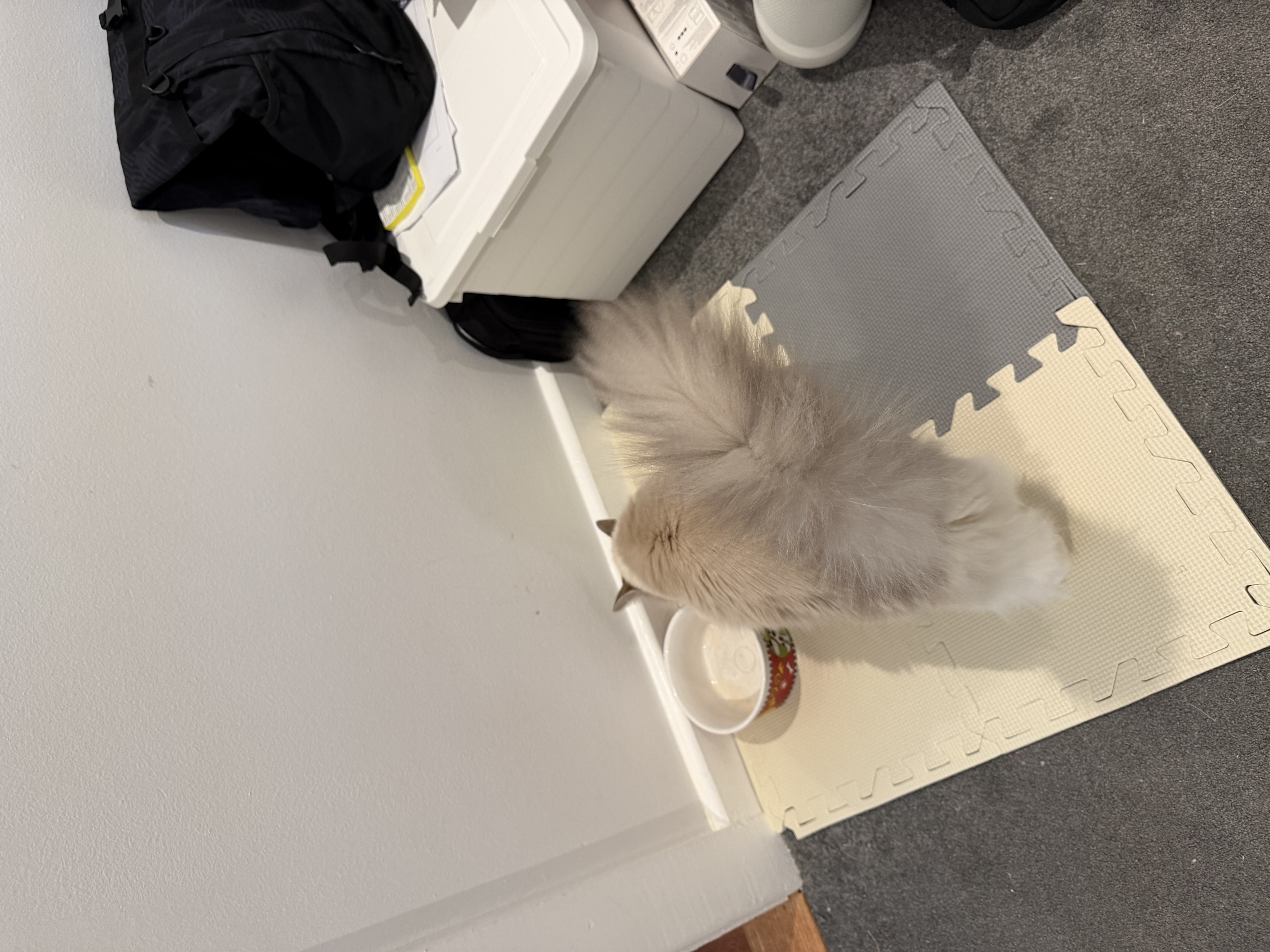 image-17