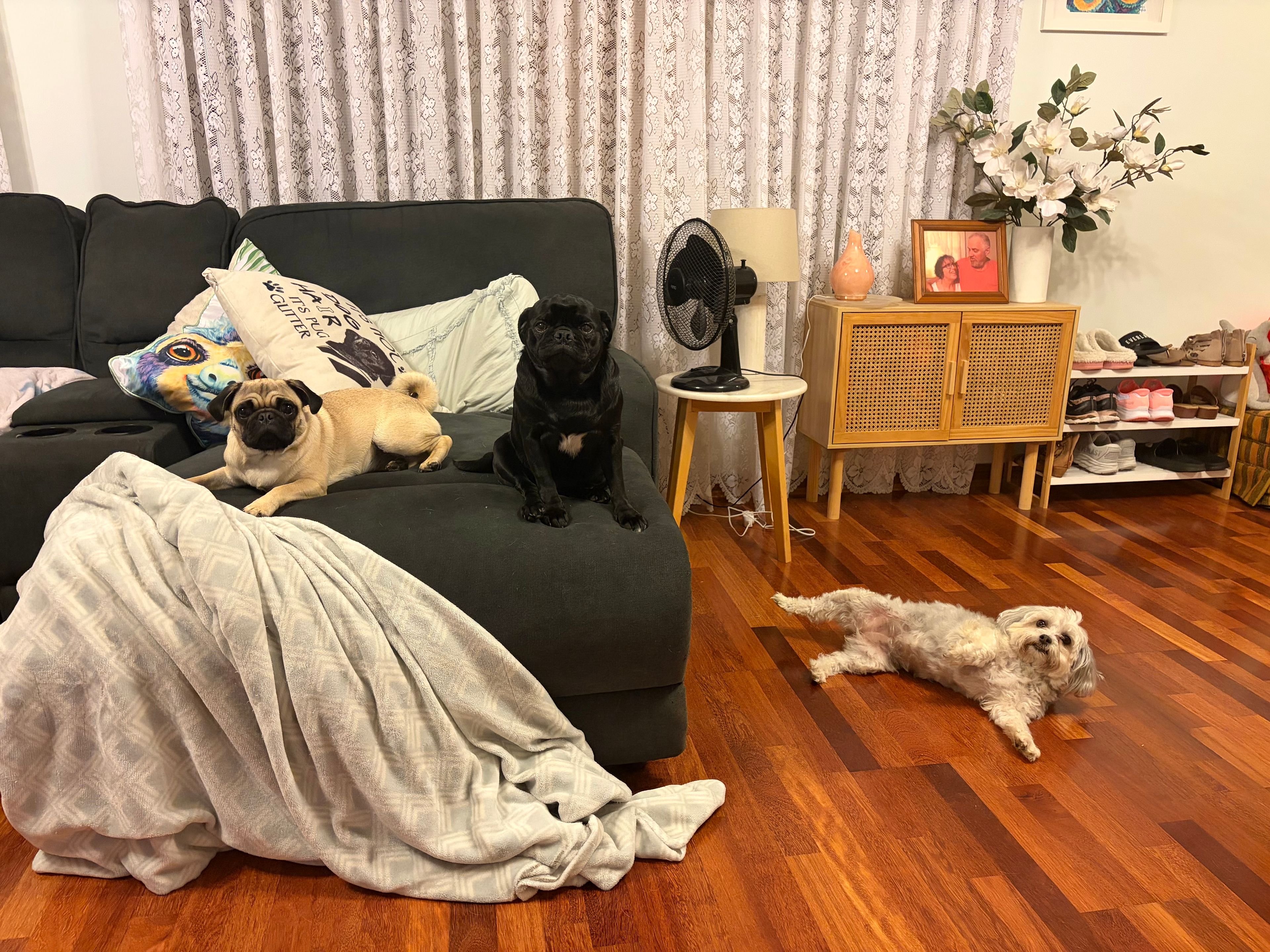 image-11
