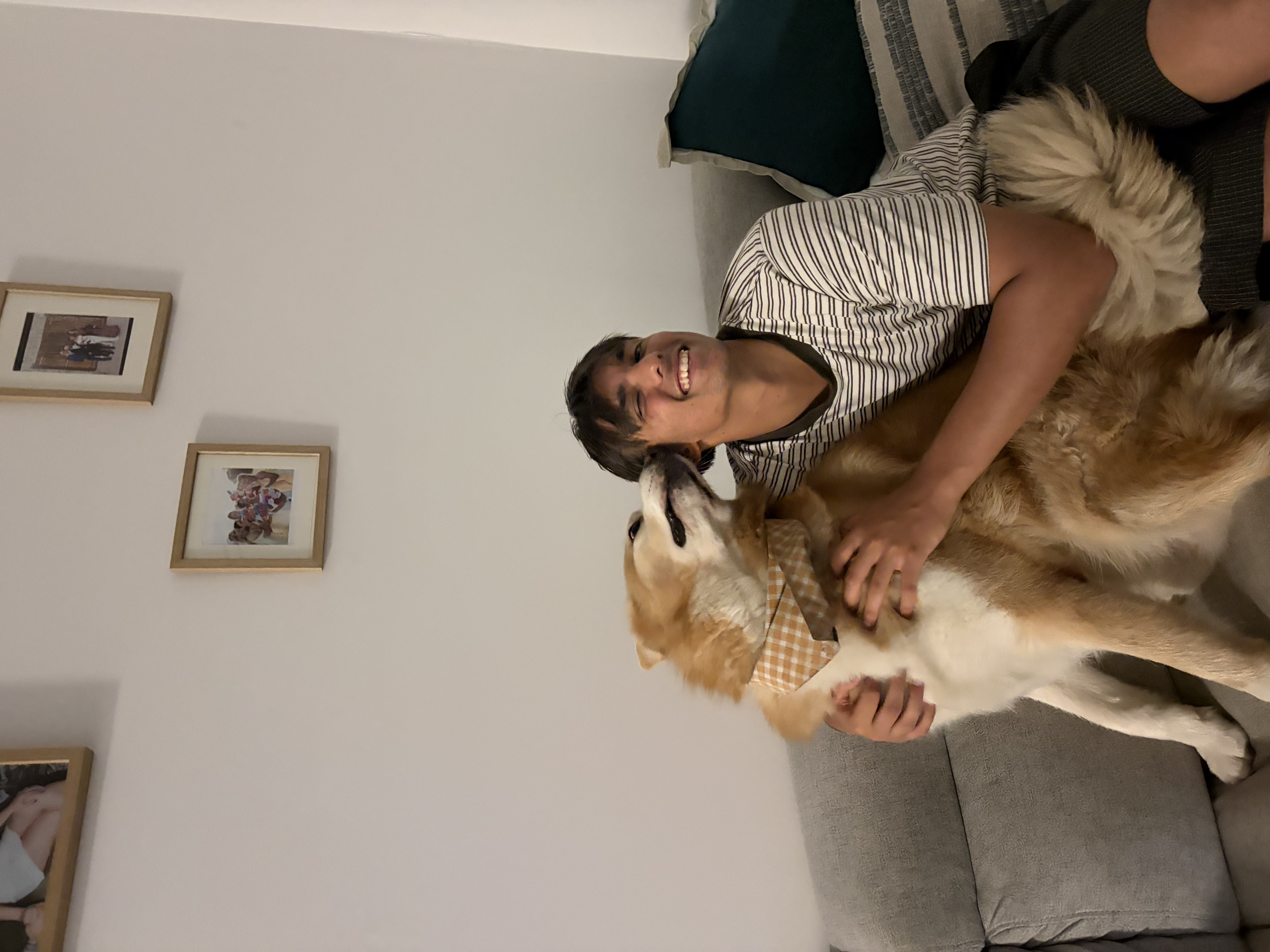 image-8
