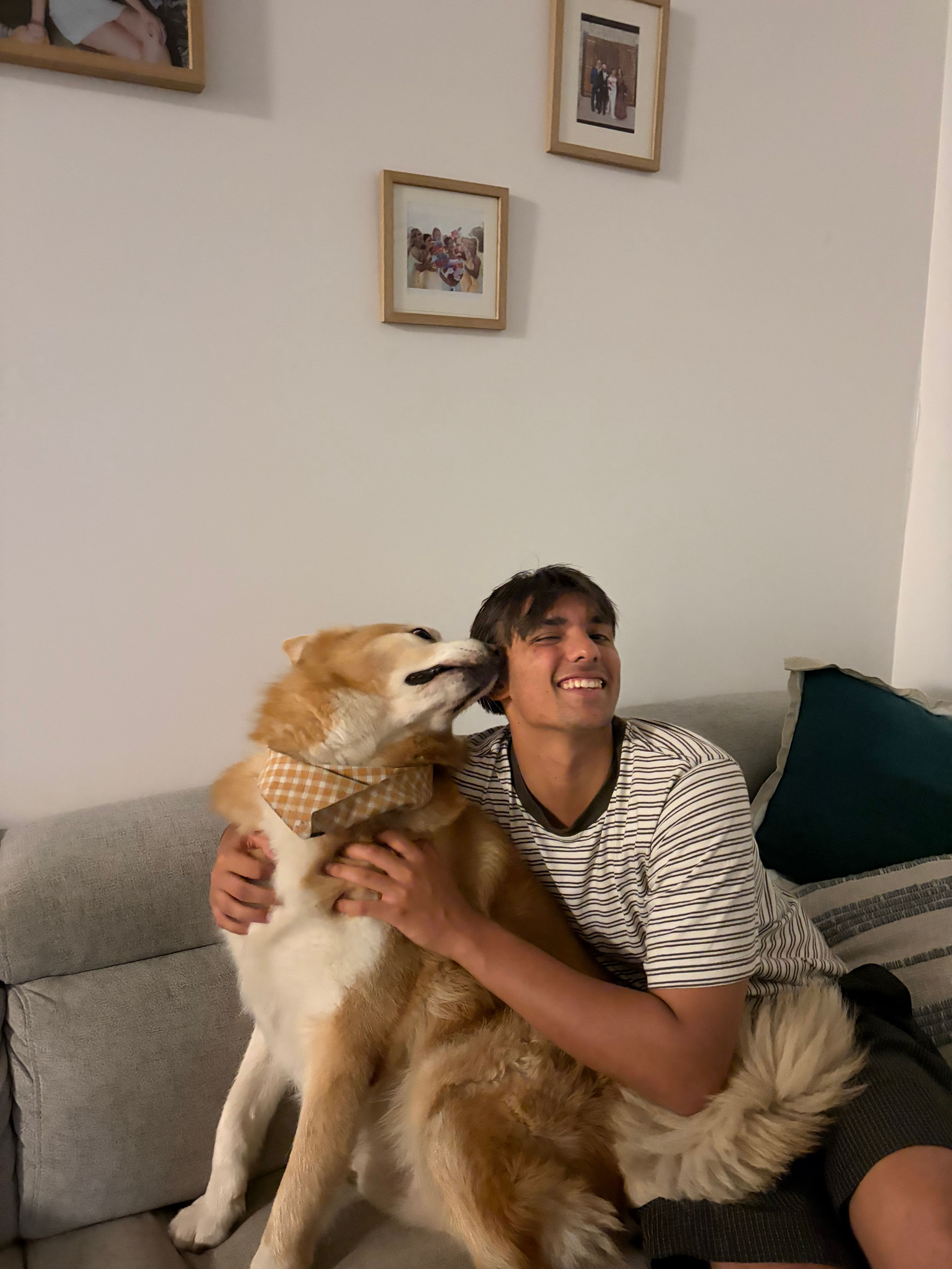image-8