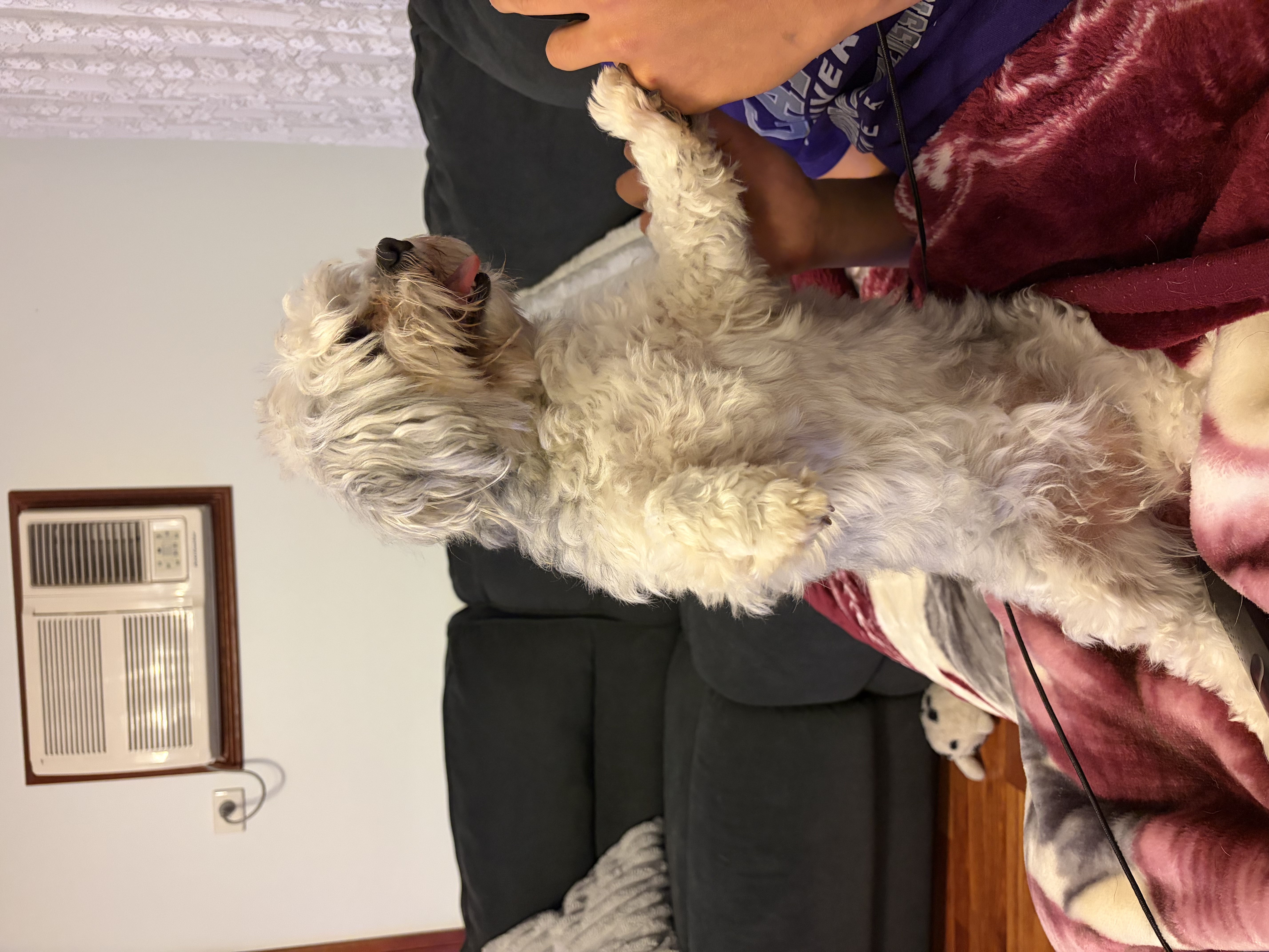 image-12