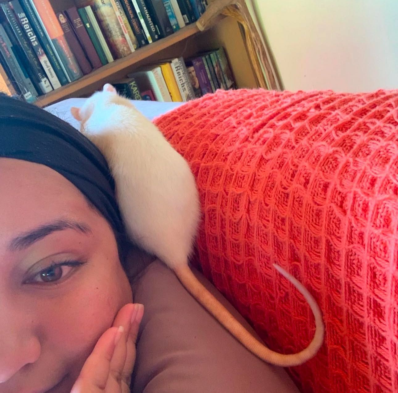 image-2