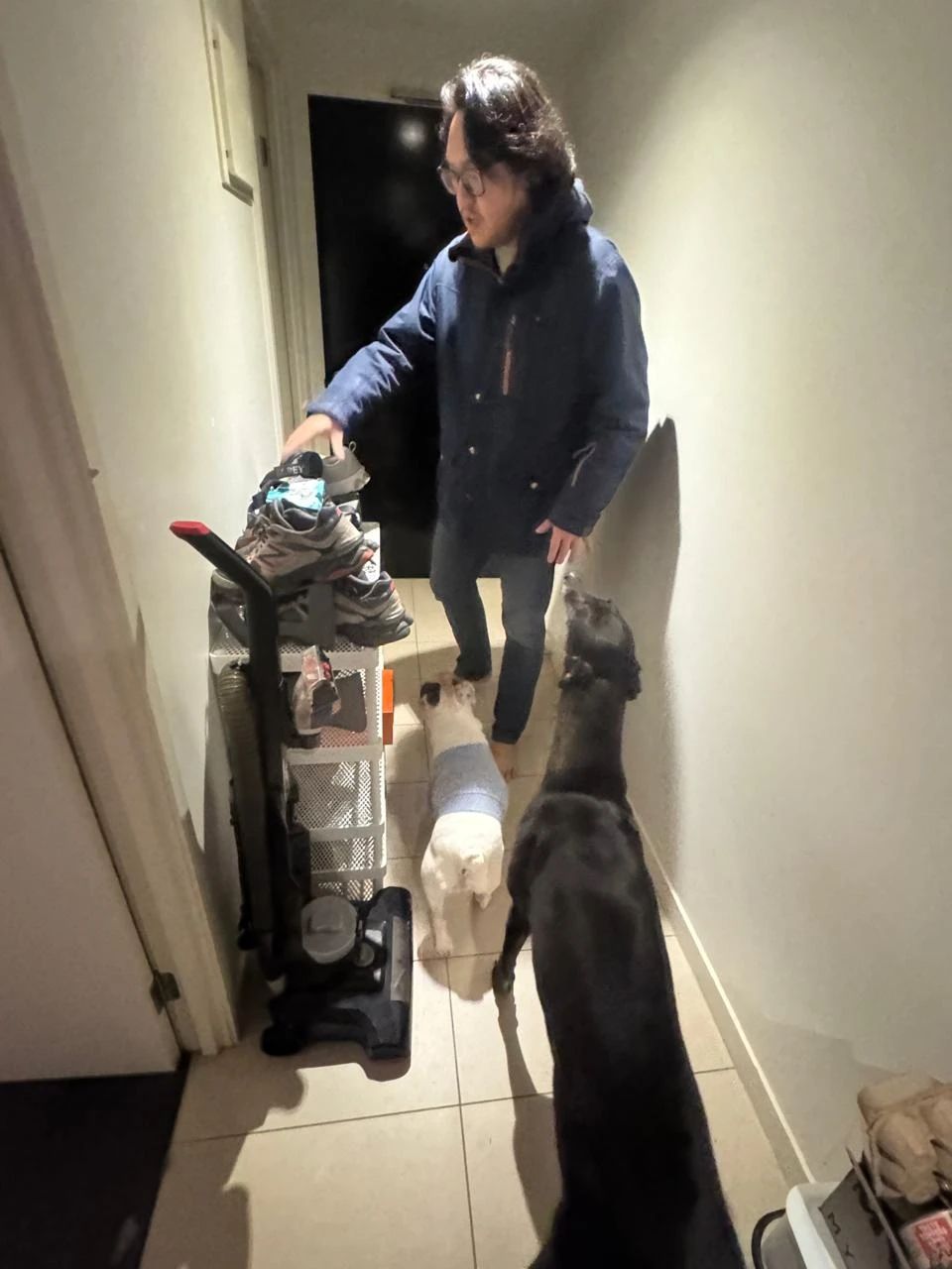 image-8