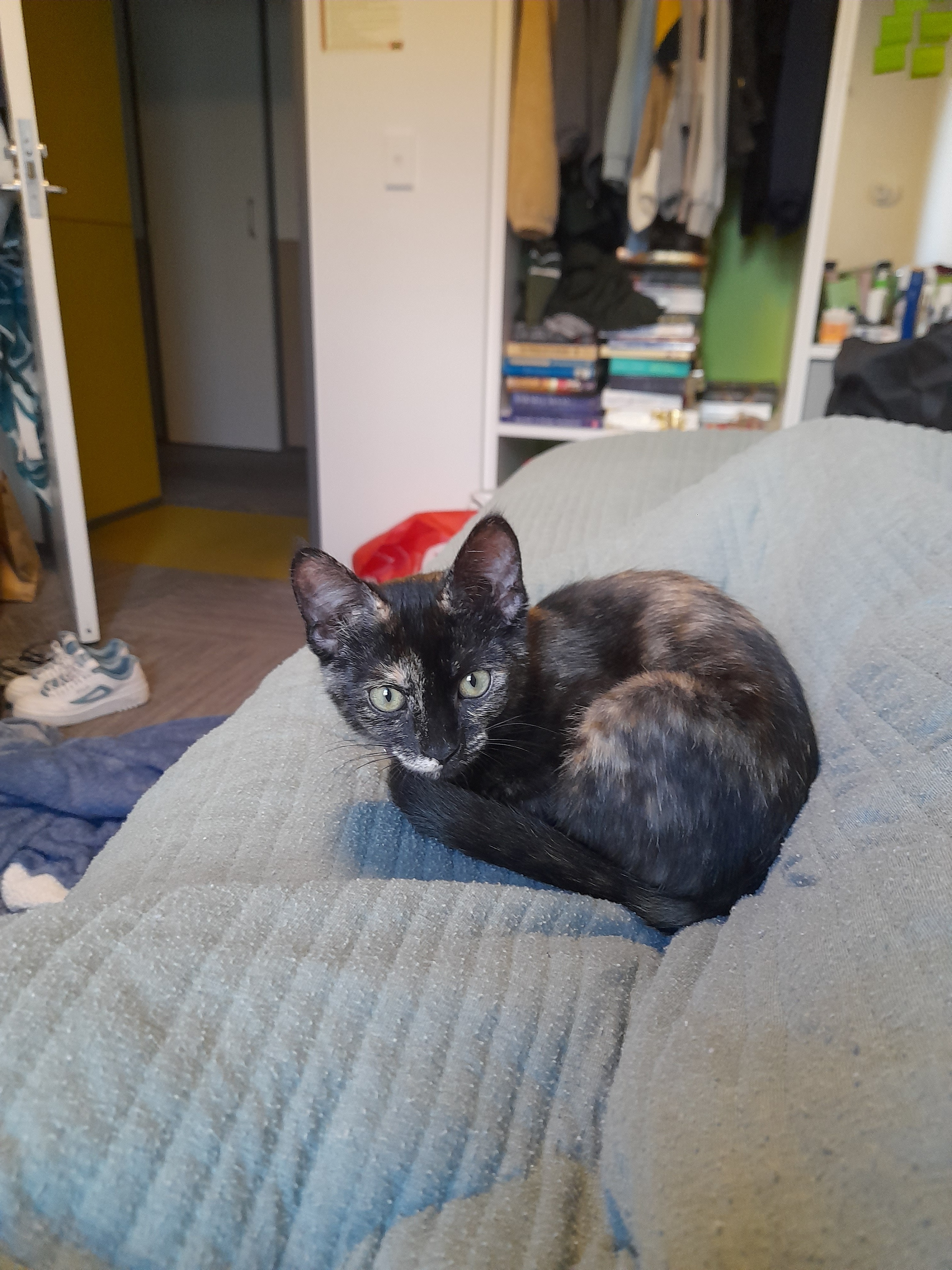 image-6