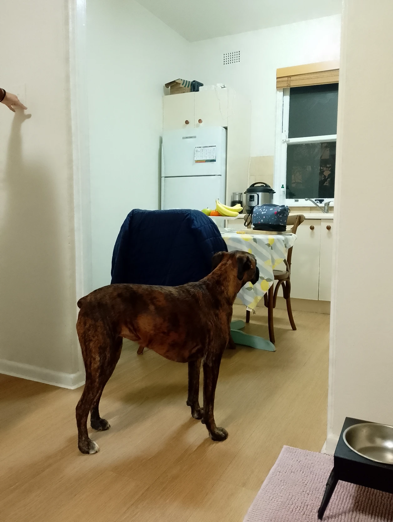 image-12