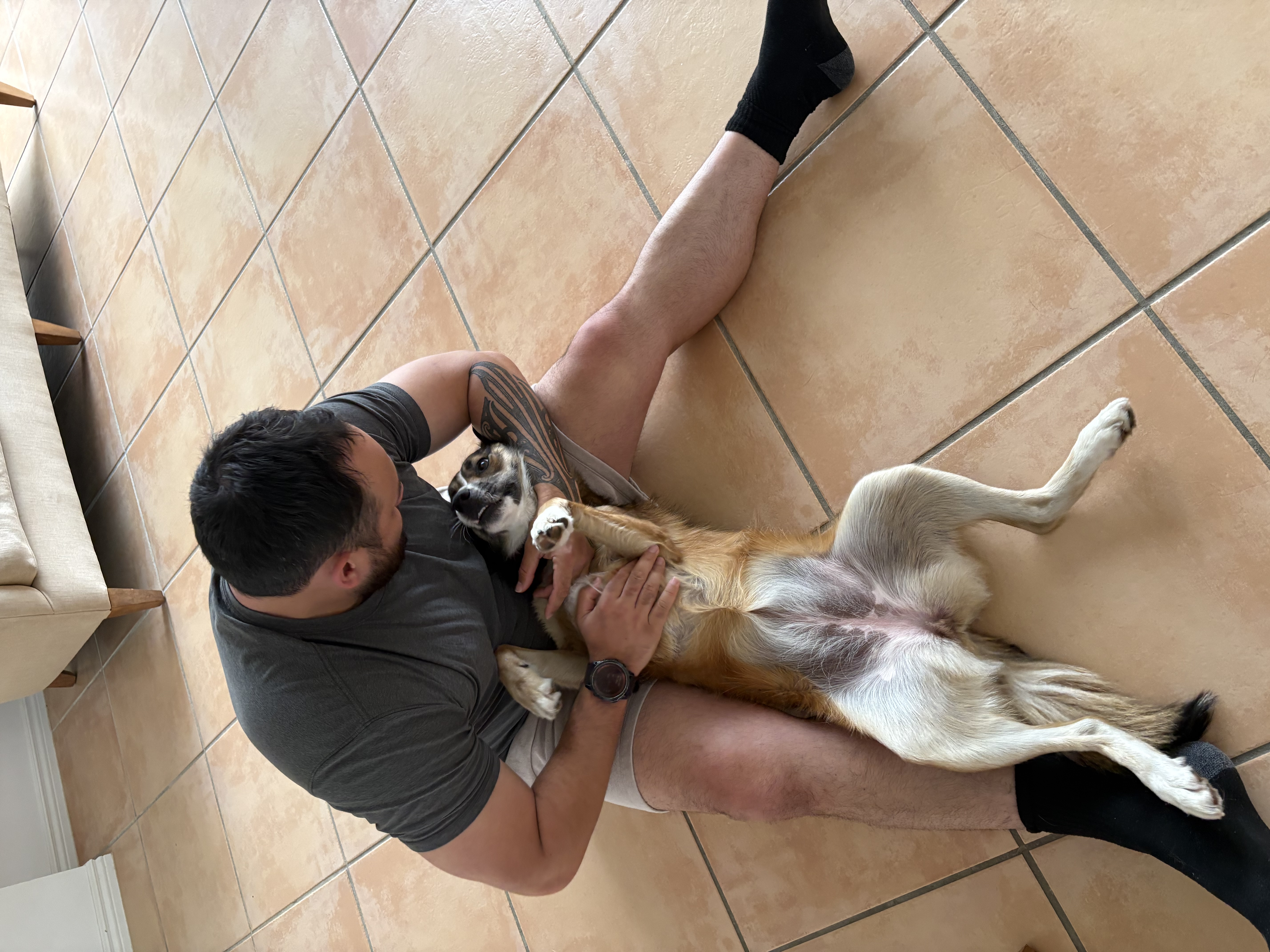image-7