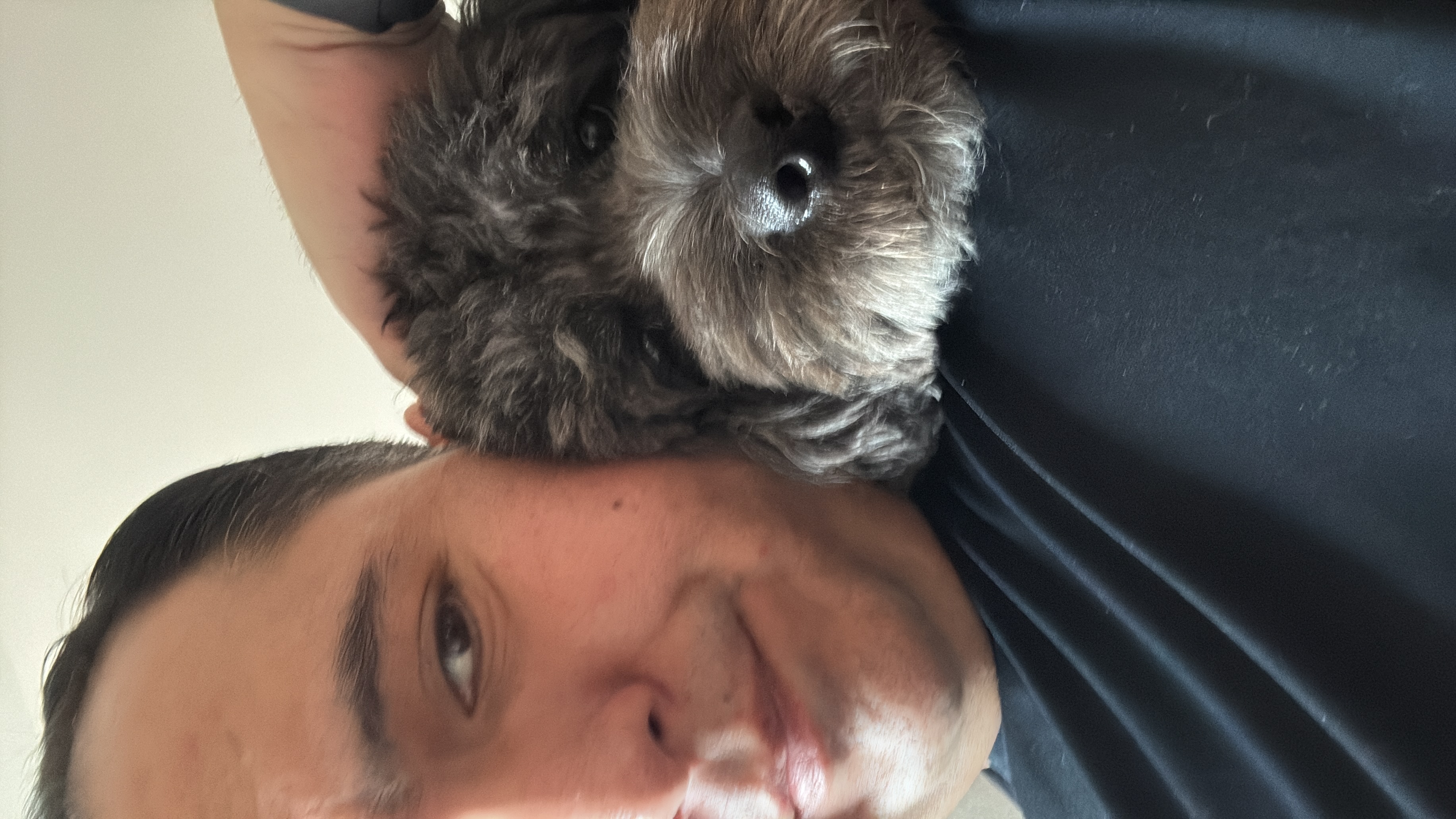 image-6