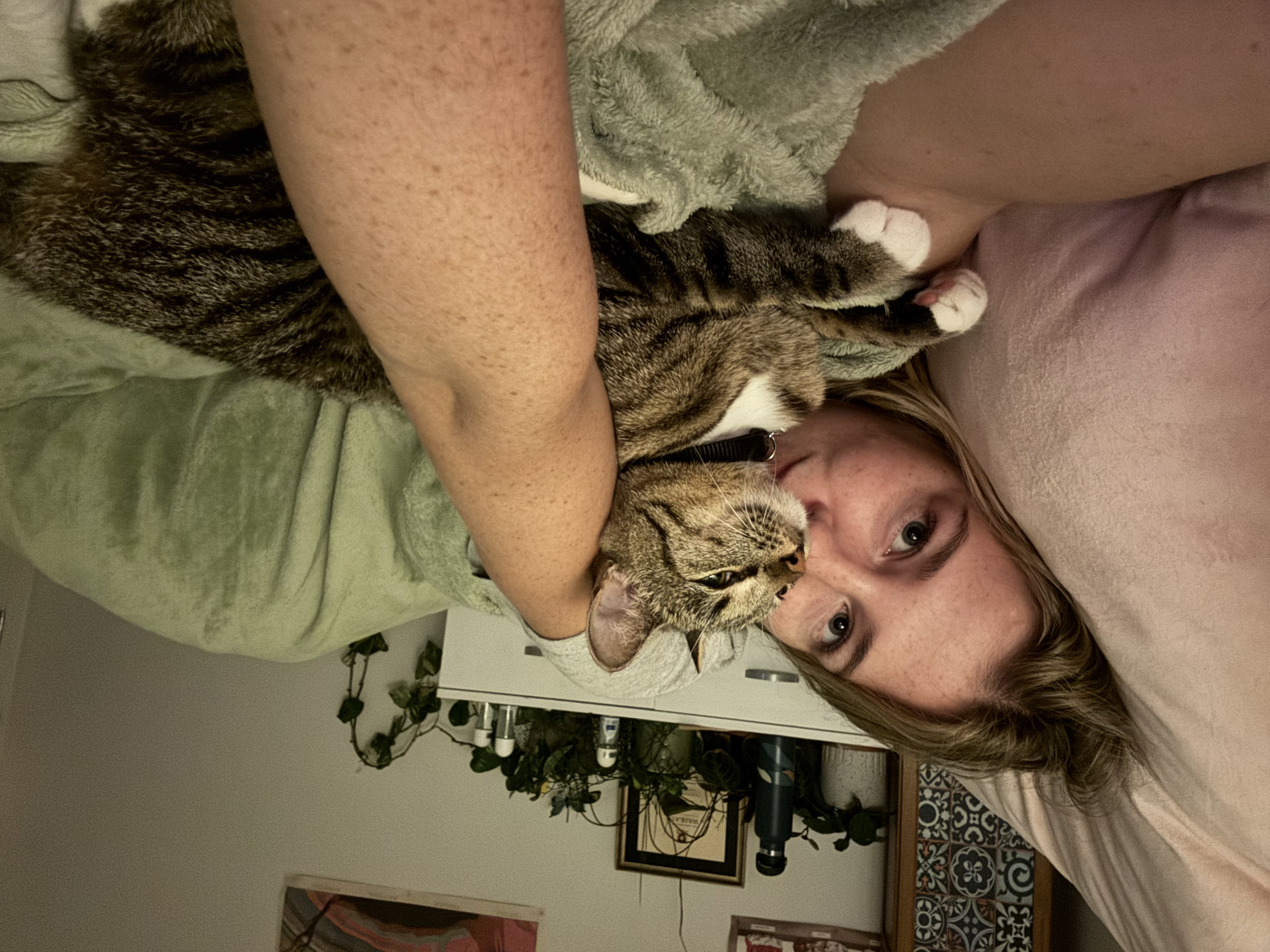 image-5
