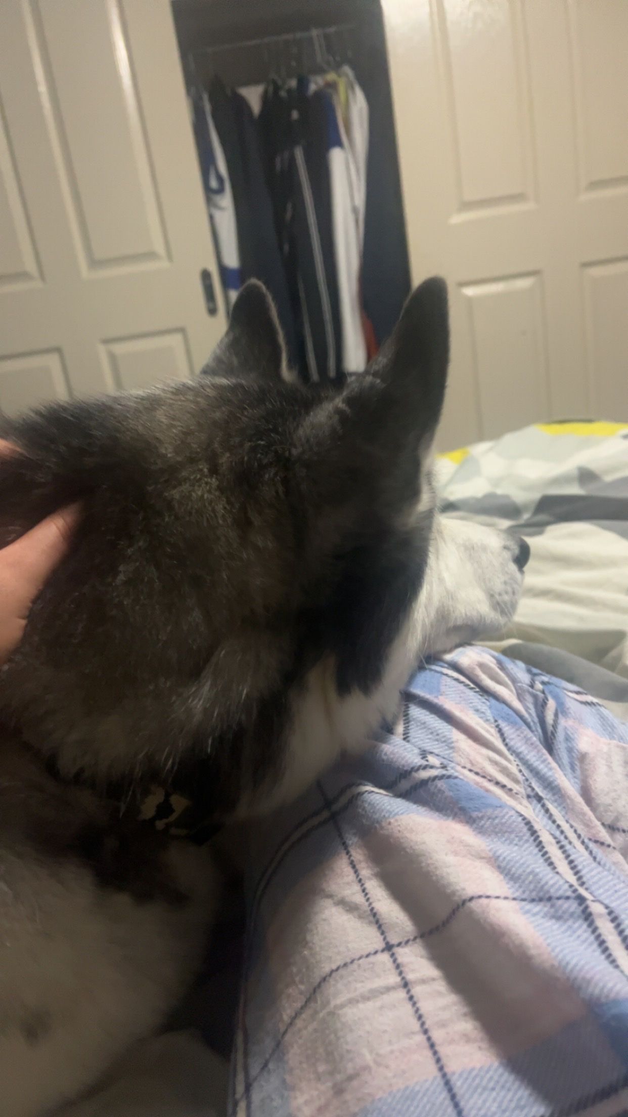 image-9