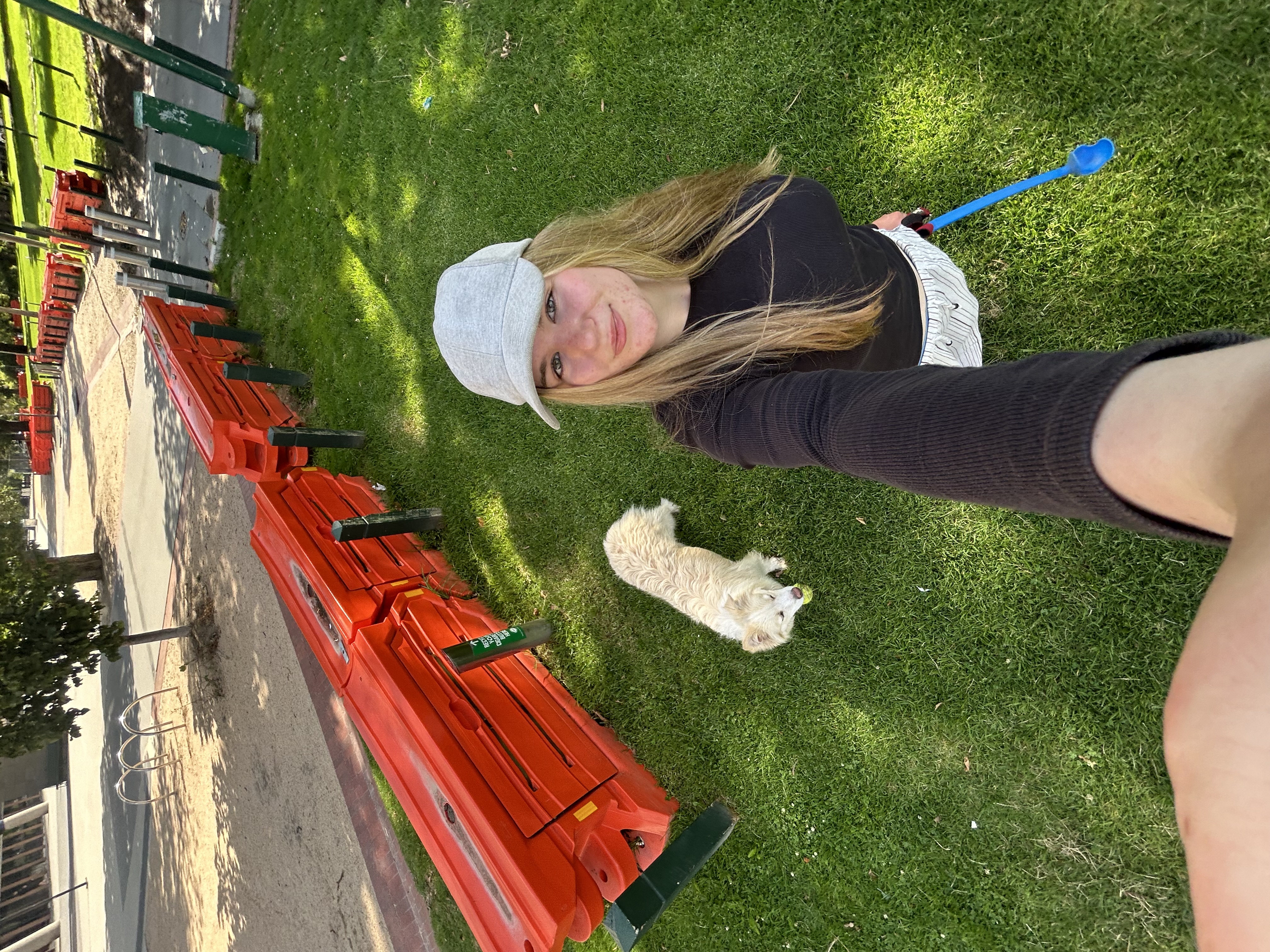 image-20