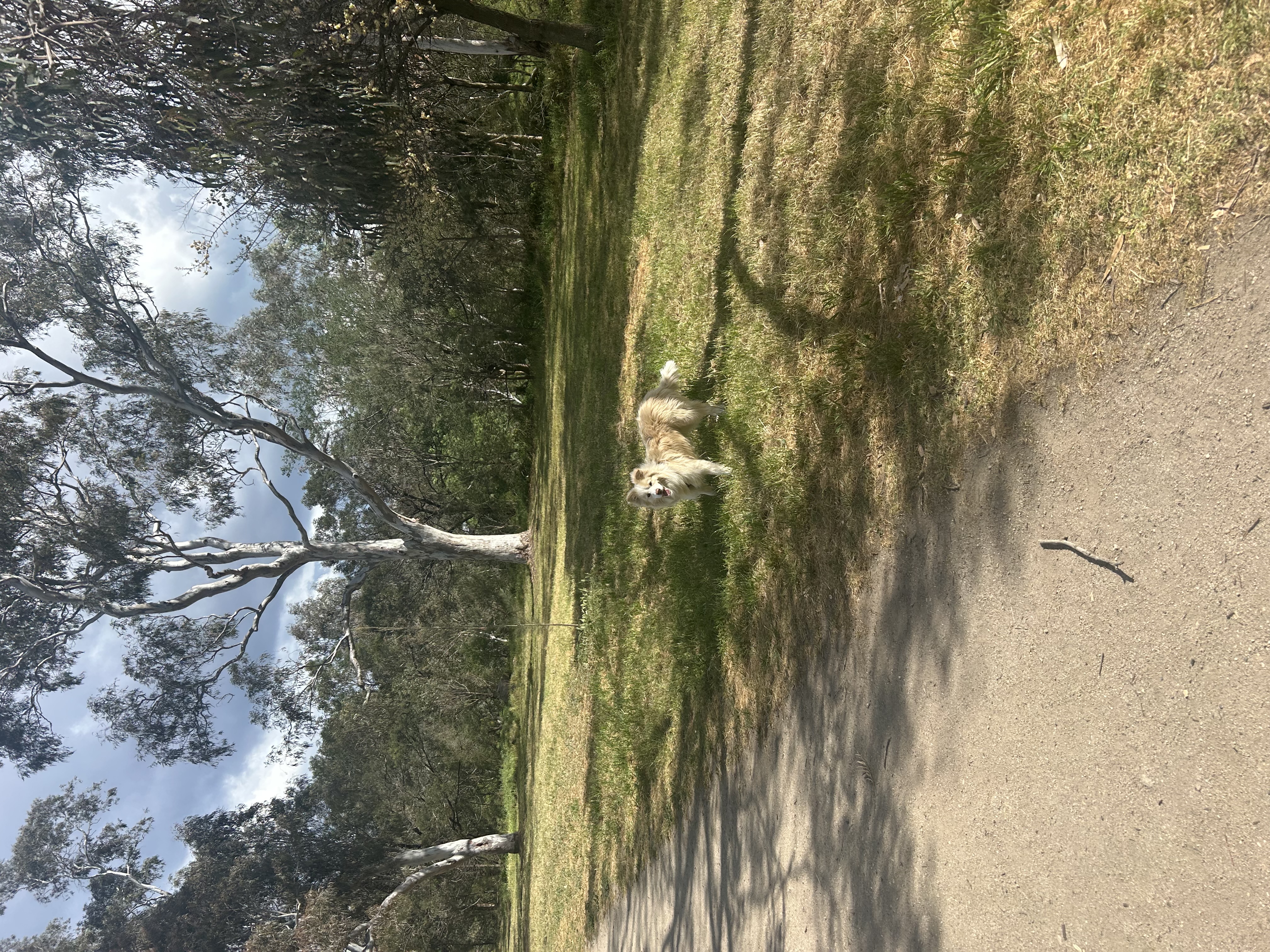 image-11