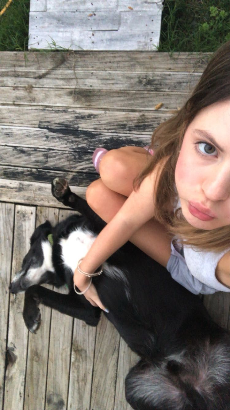 image-6