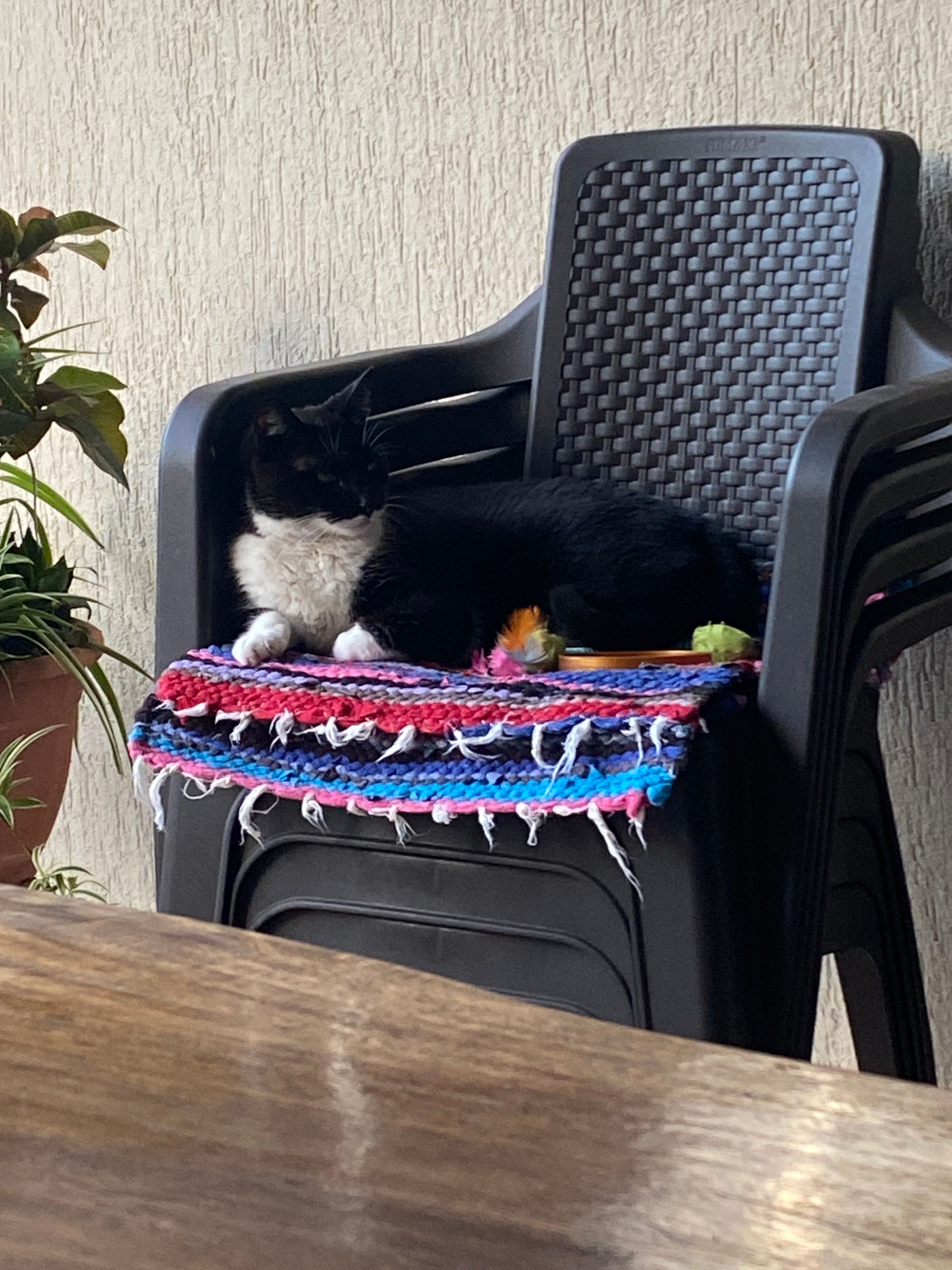 image-13