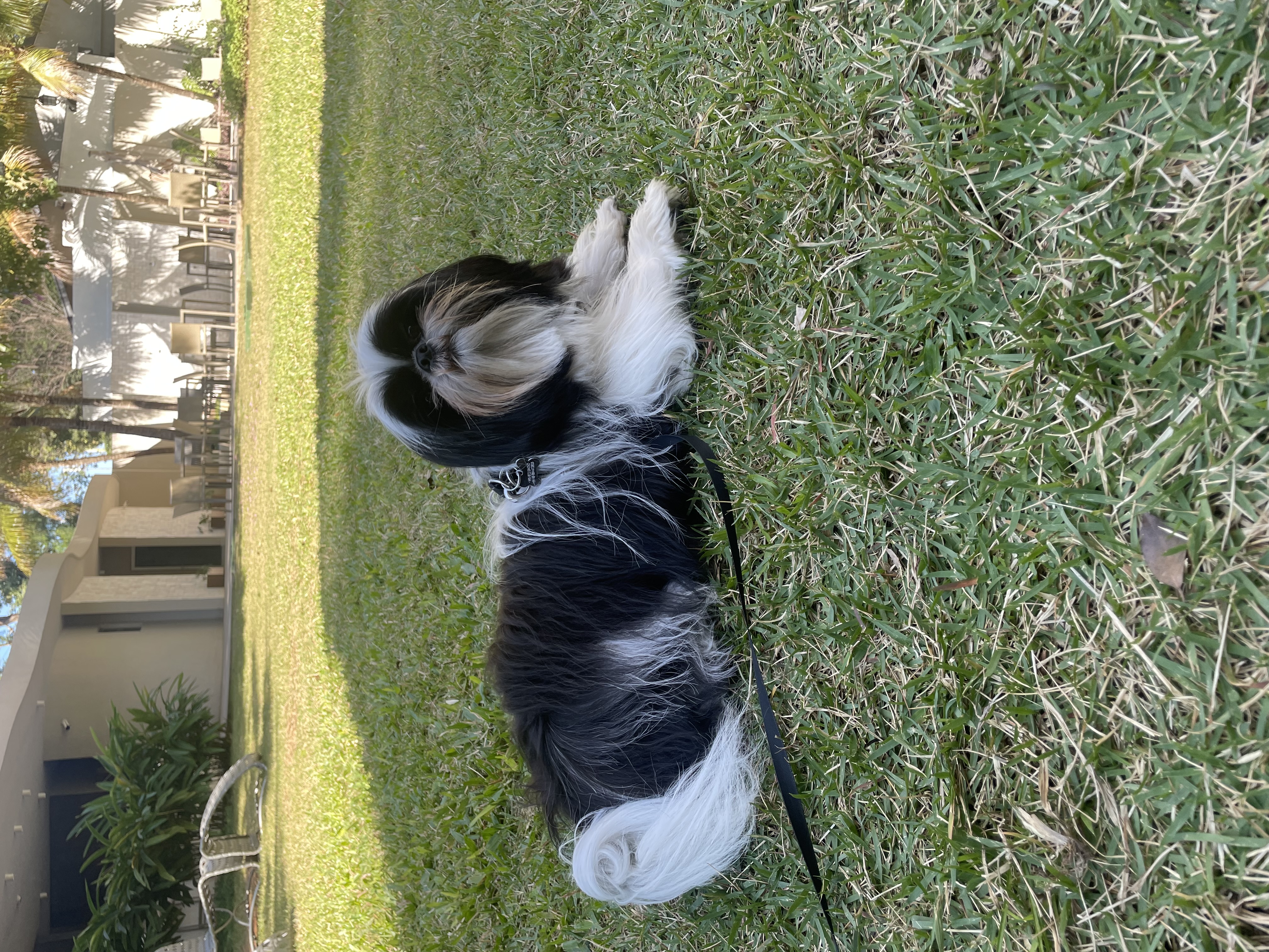 image-4