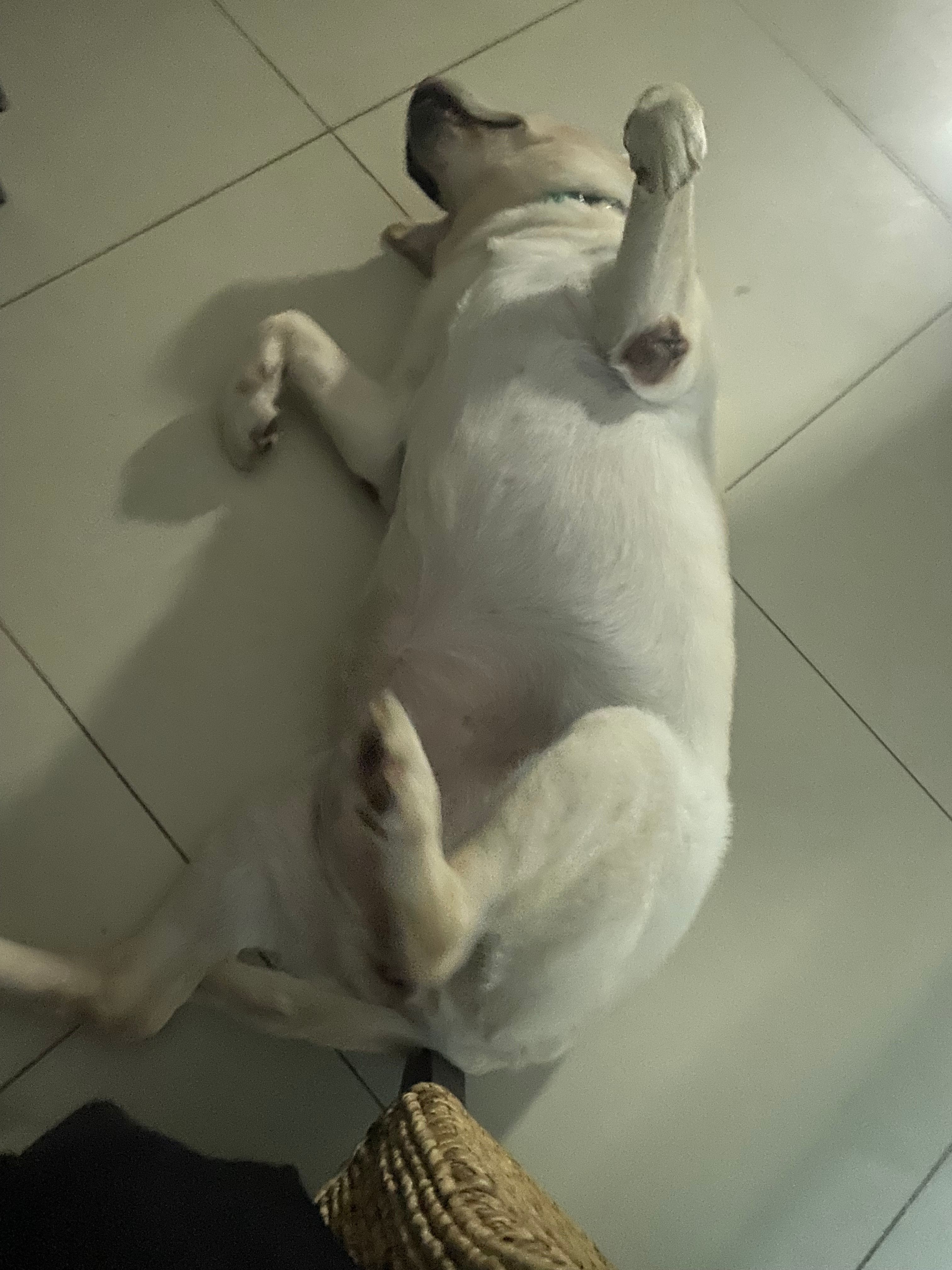 image-9