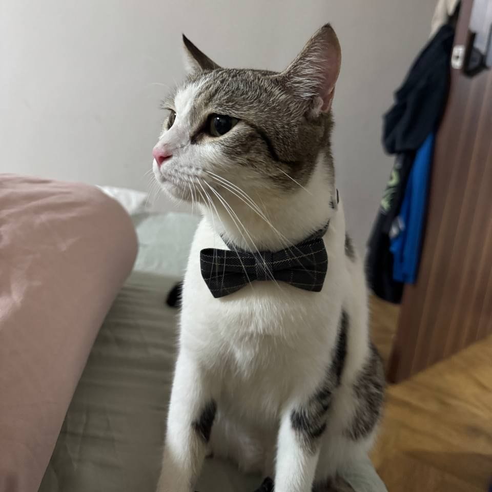 Moncler (Mr fishy man)