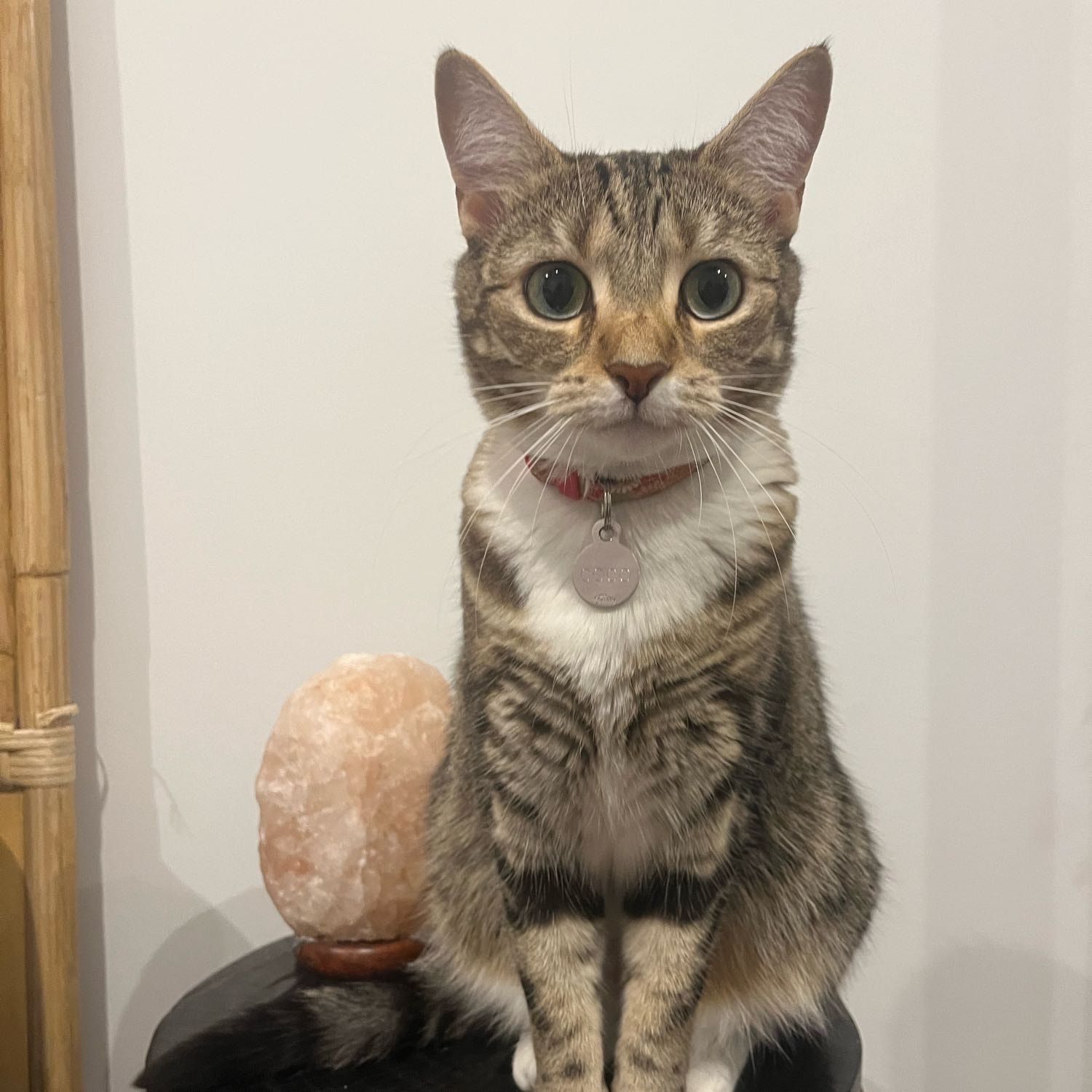 Coco