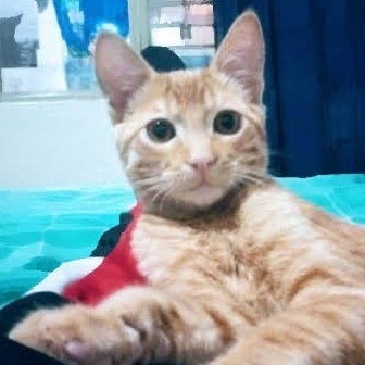 Chester