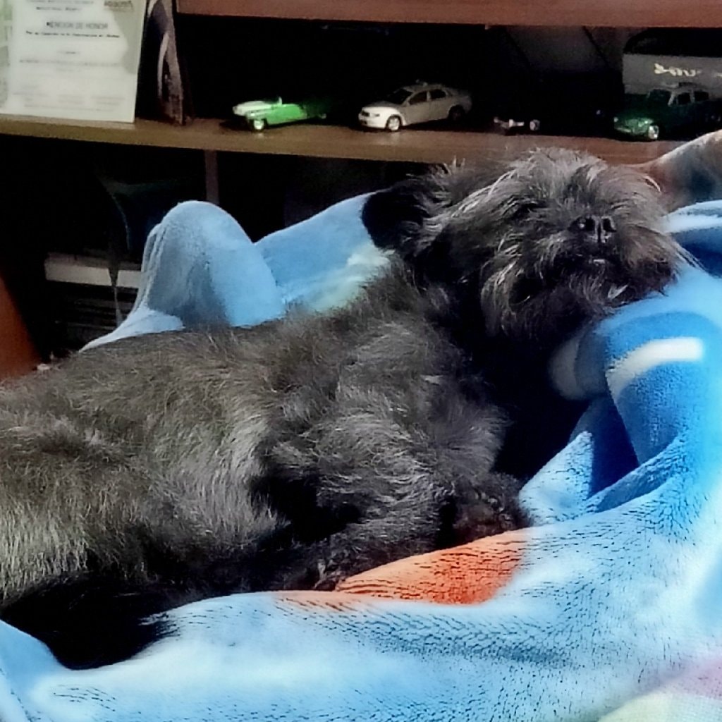 Jack