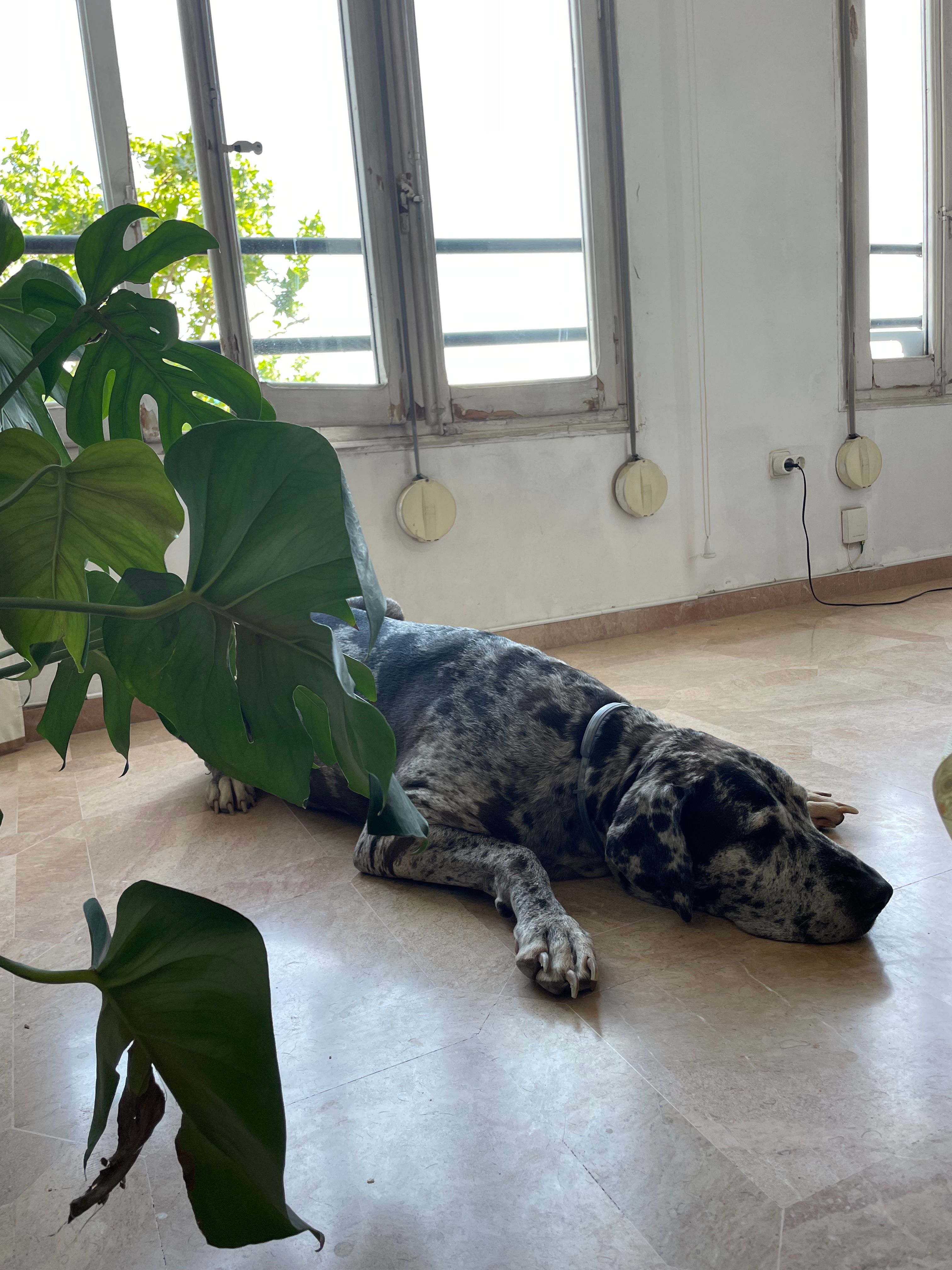 image-9