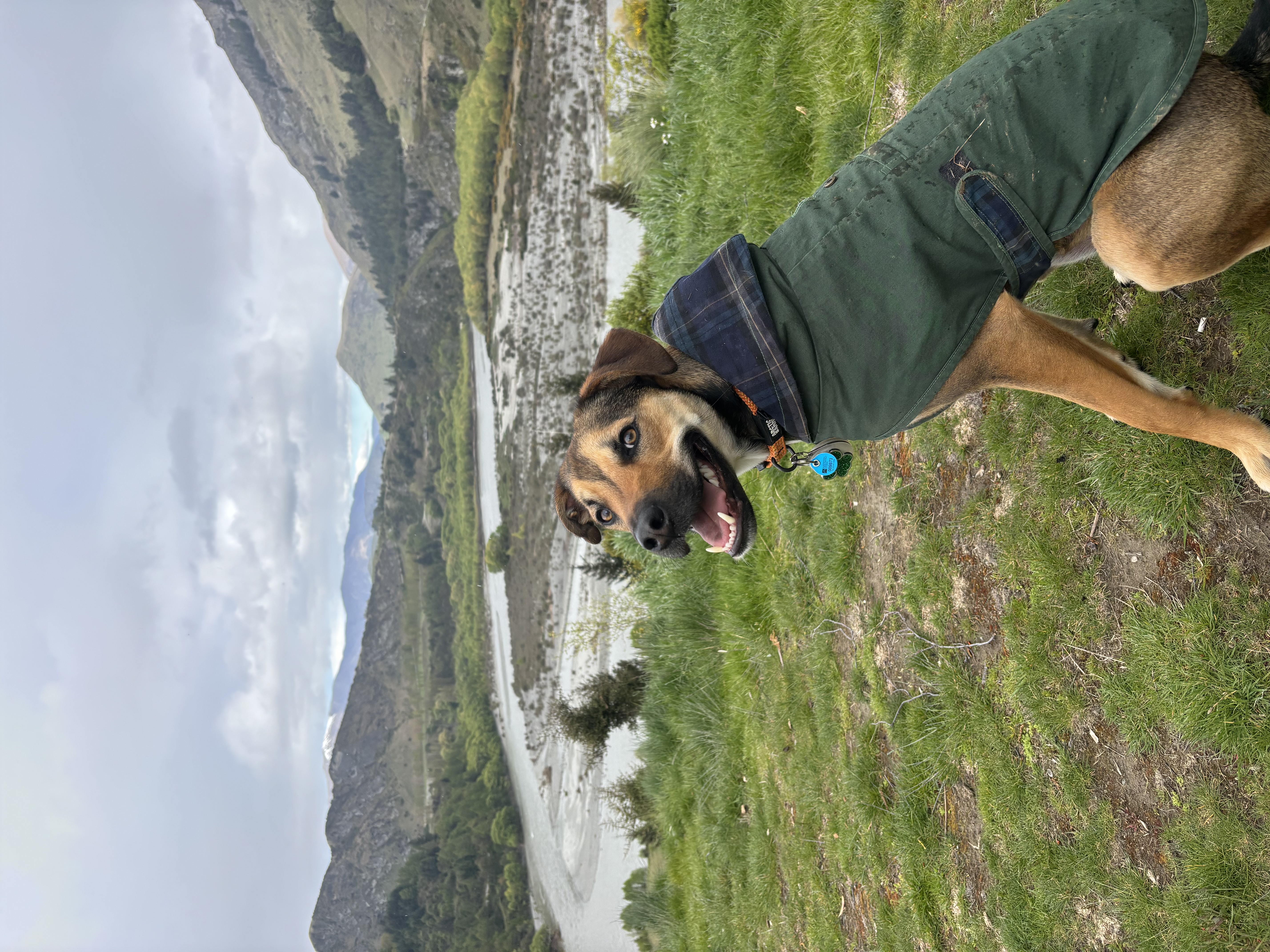 image-7