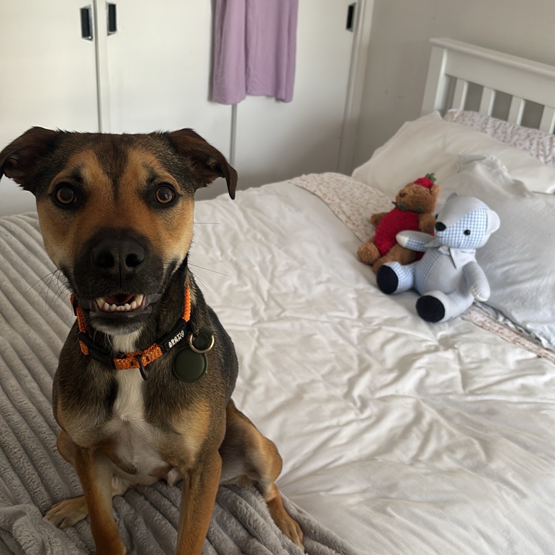 Milo