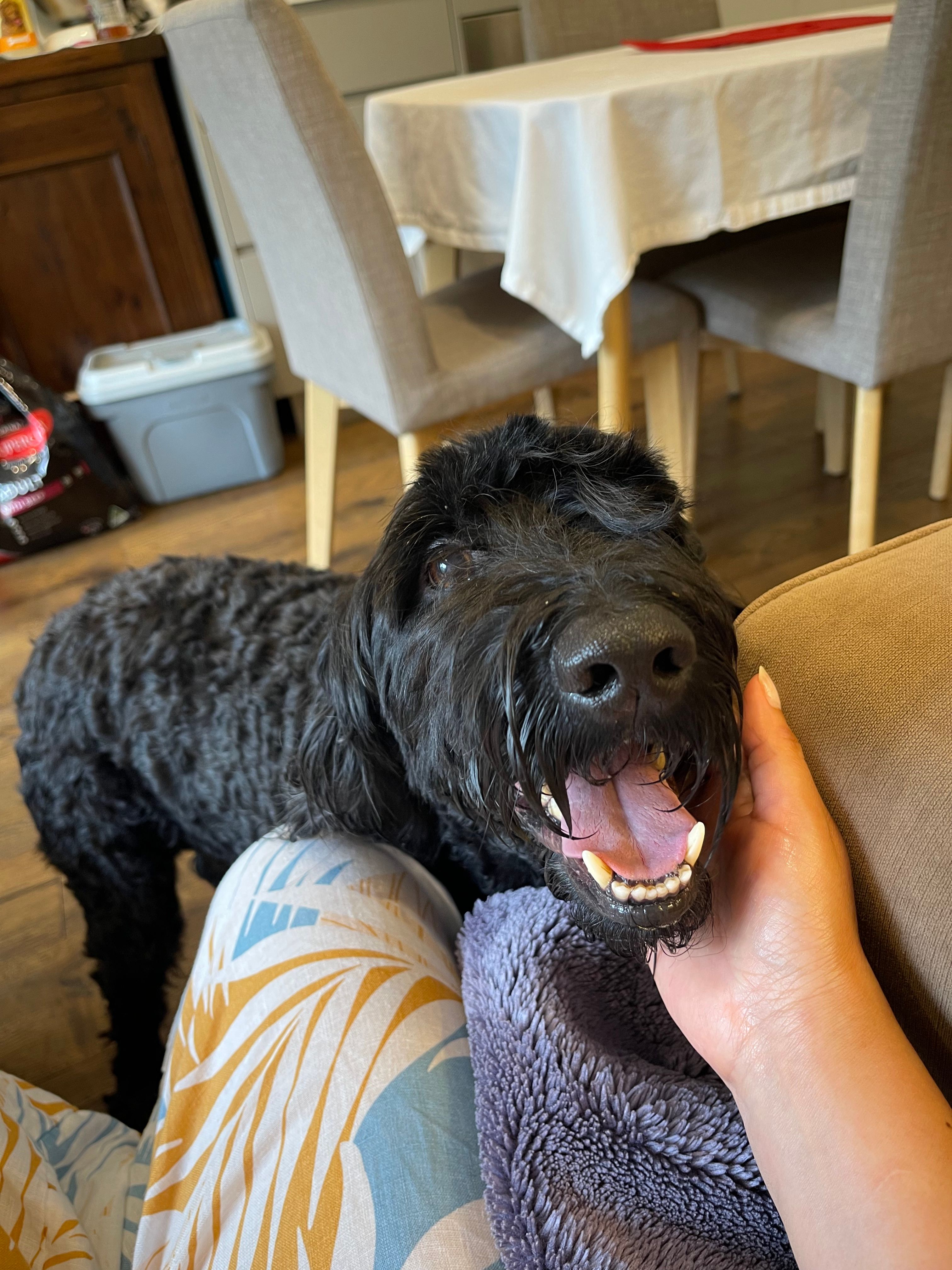 image-4