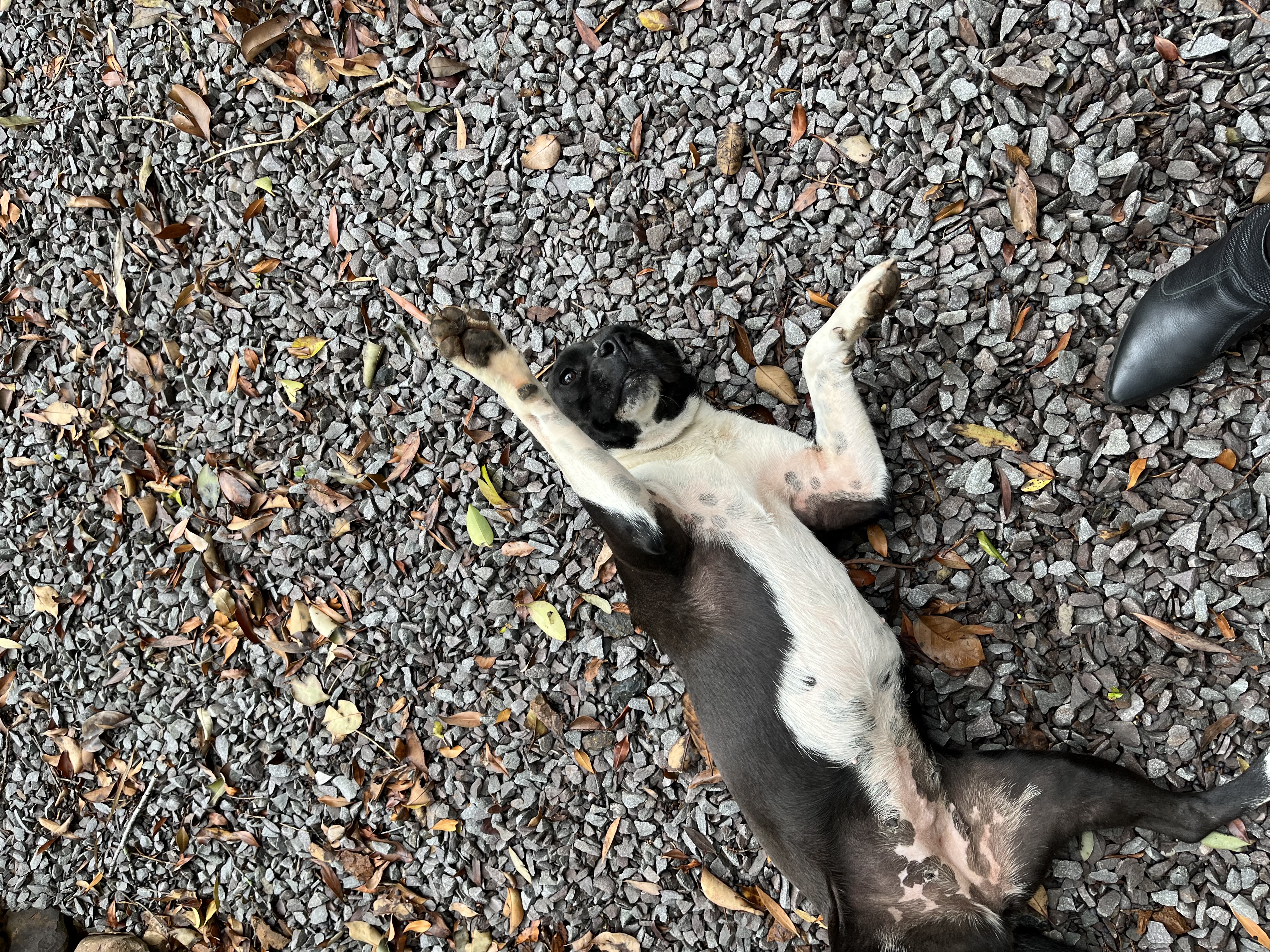 image-7
