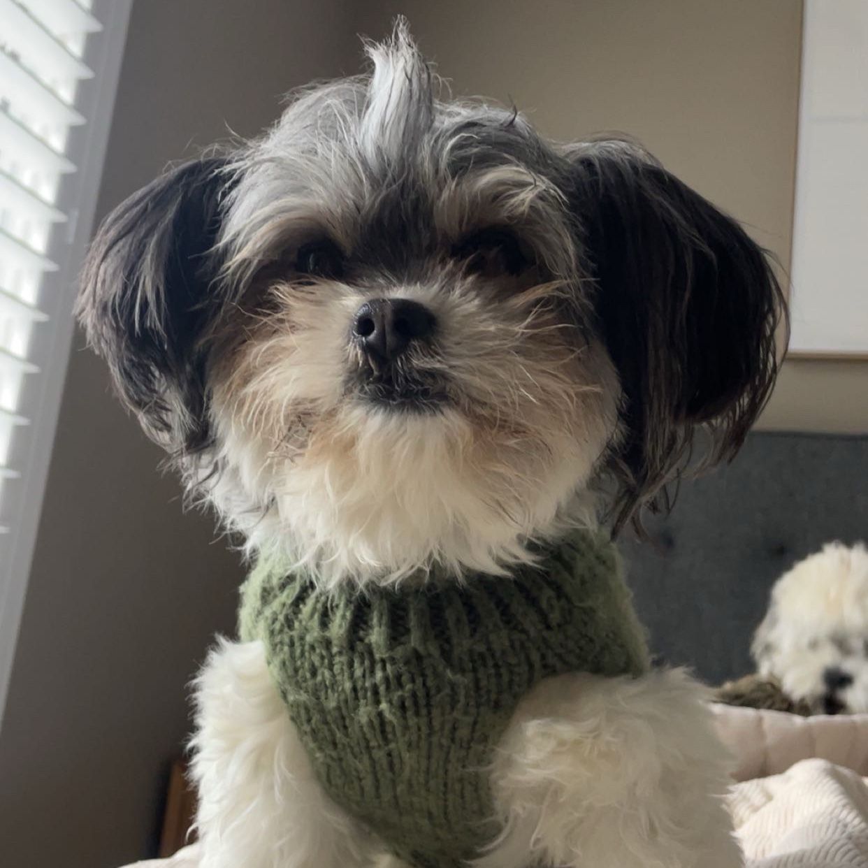 Bert