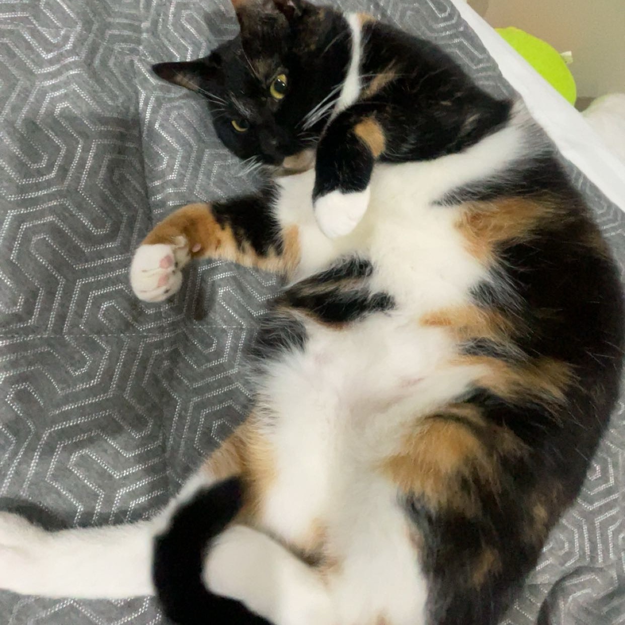 Mildred