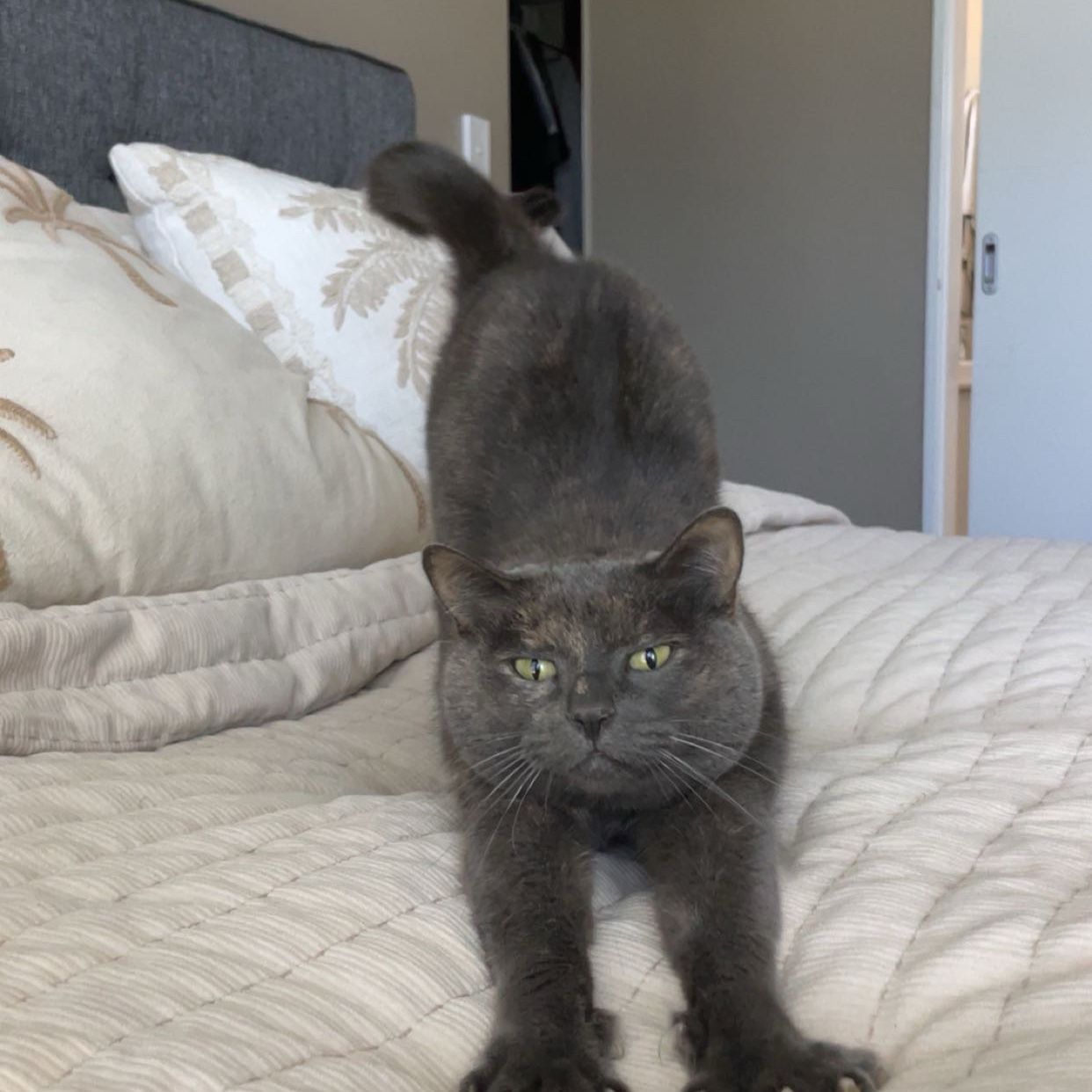 Bonnie