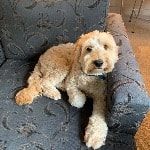 Mac