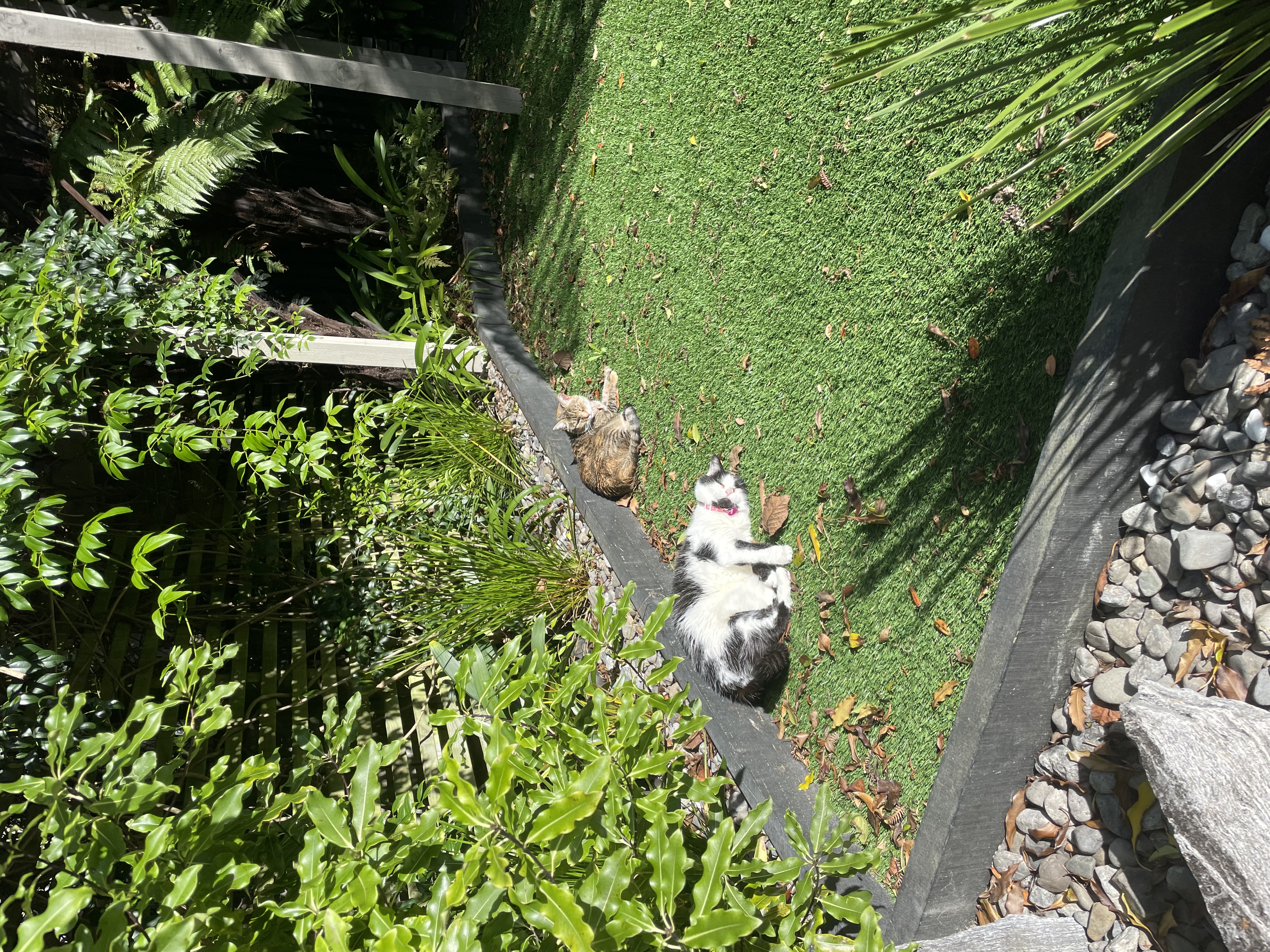 image-11