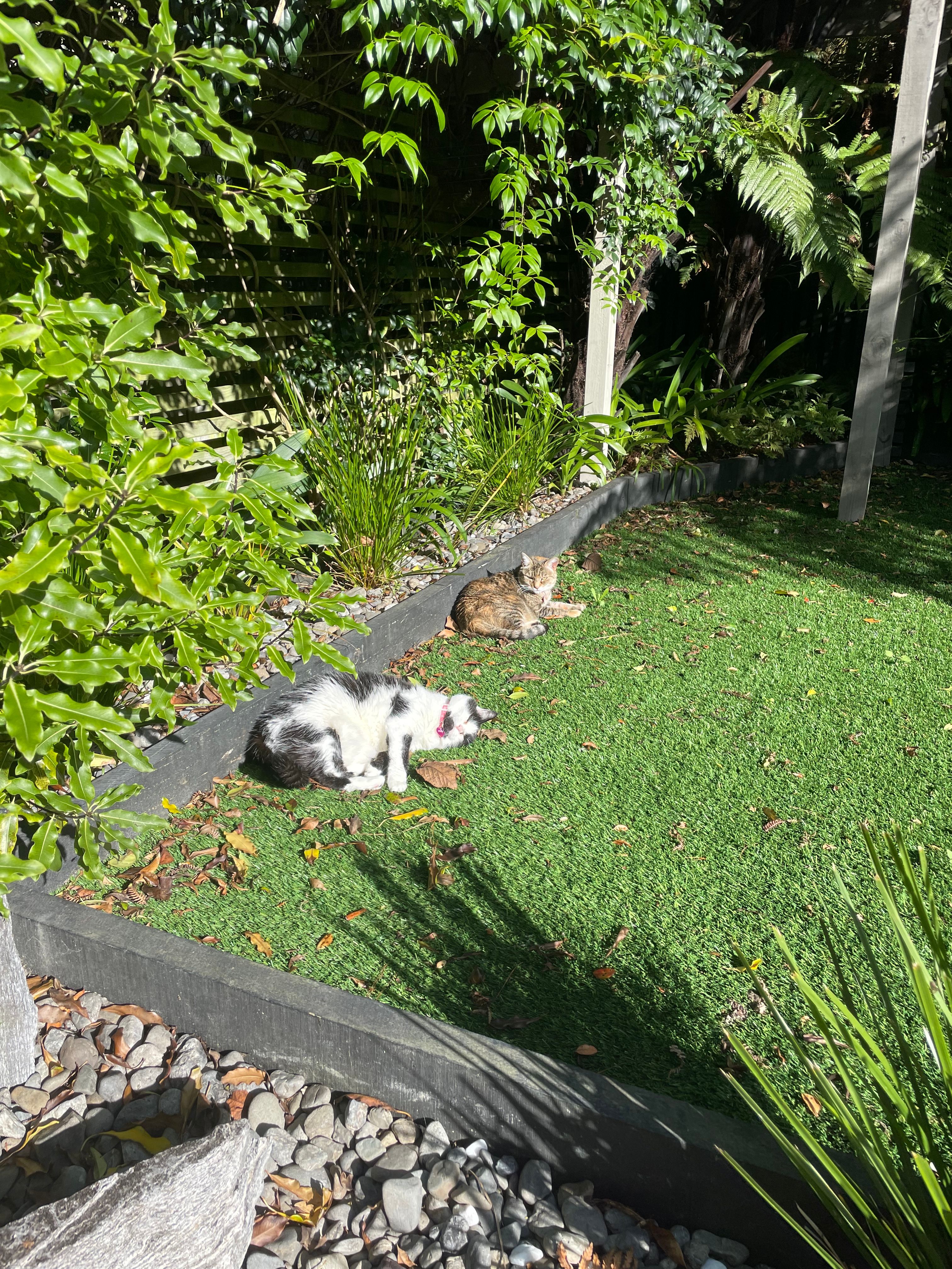 image-11