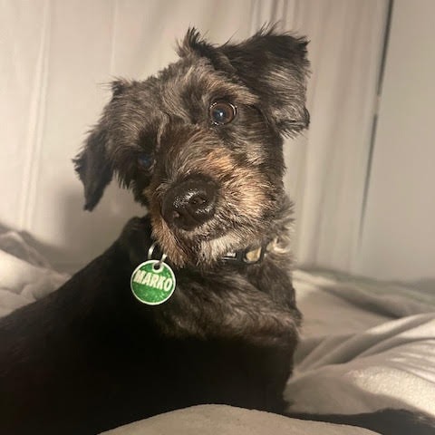 Marko