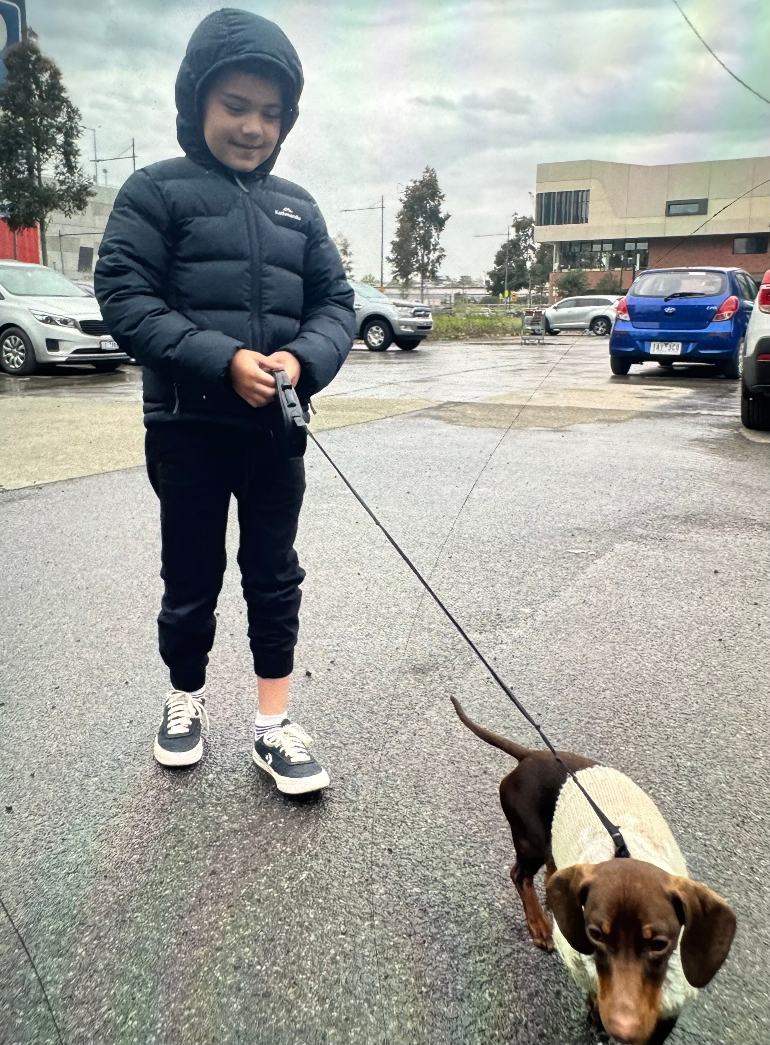 image-8