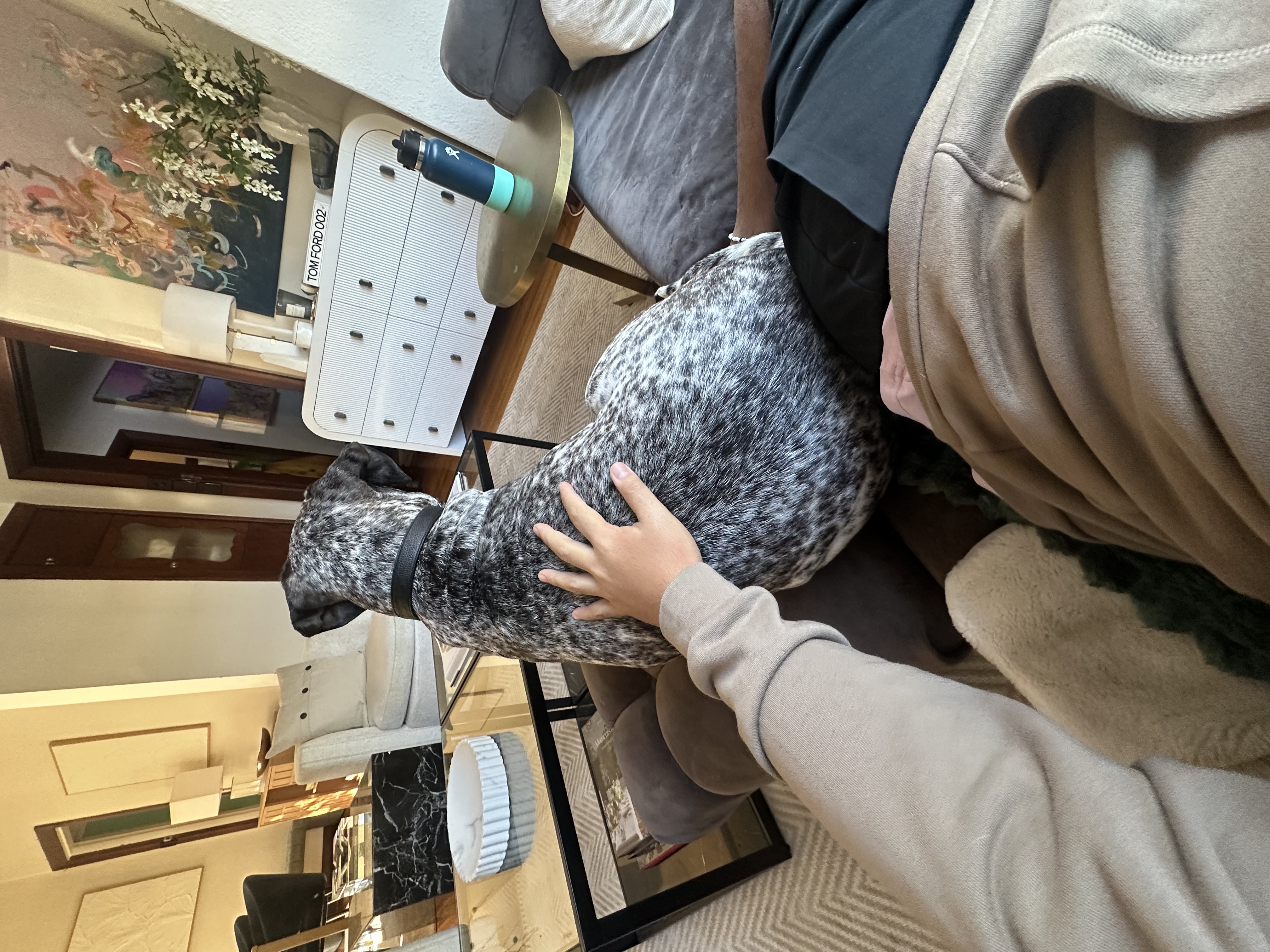 image-7