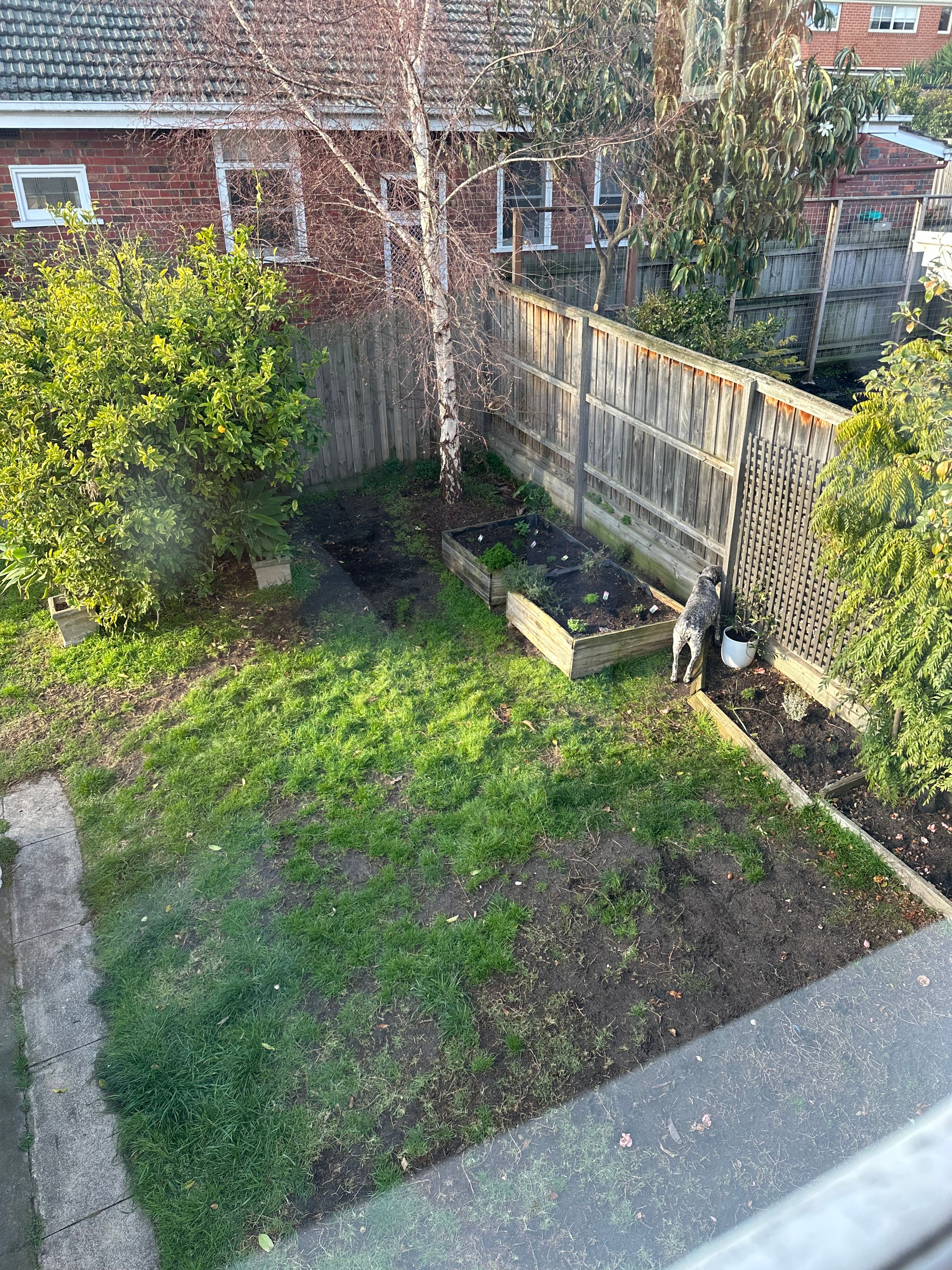 image-12