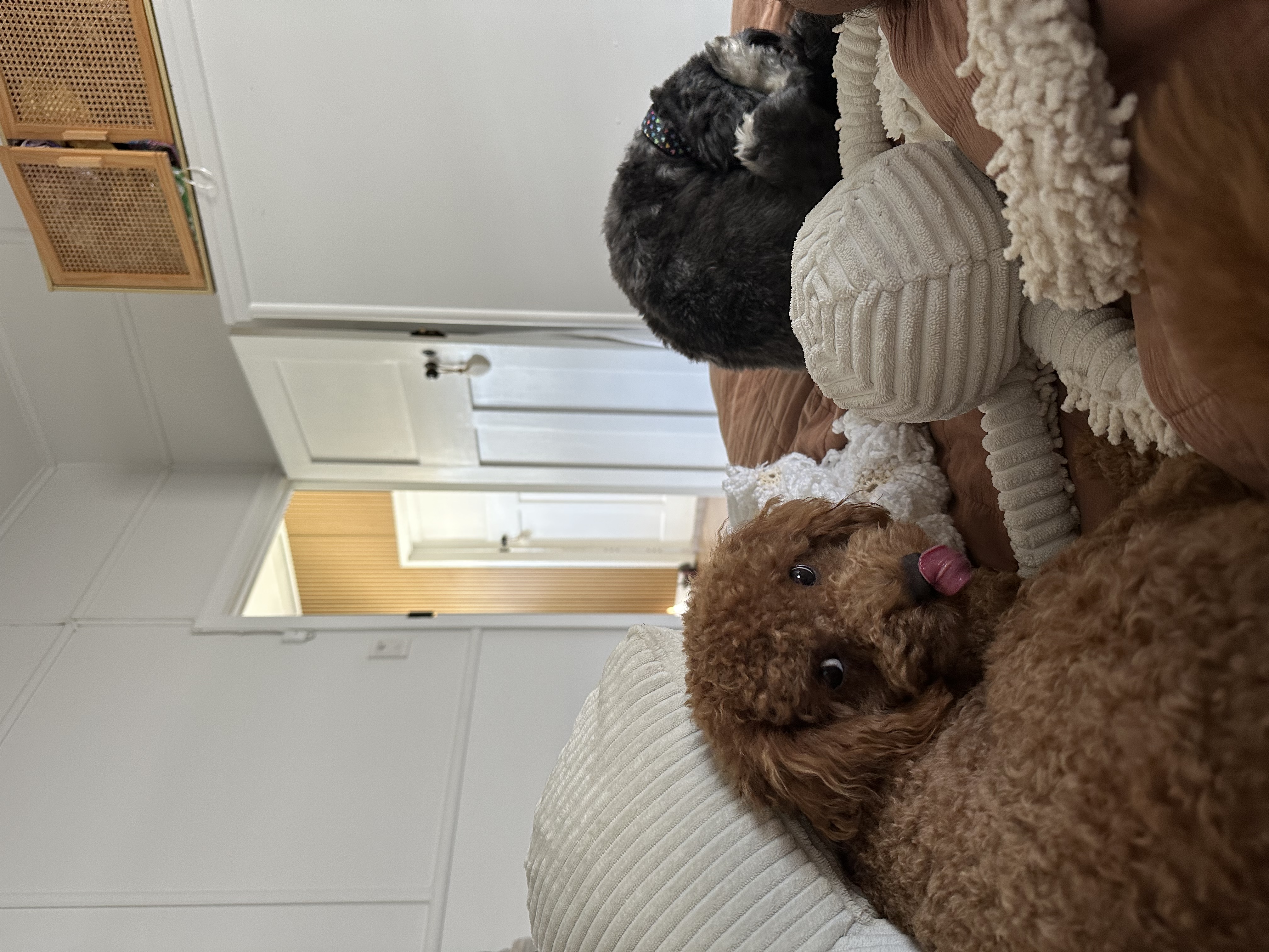 image-6