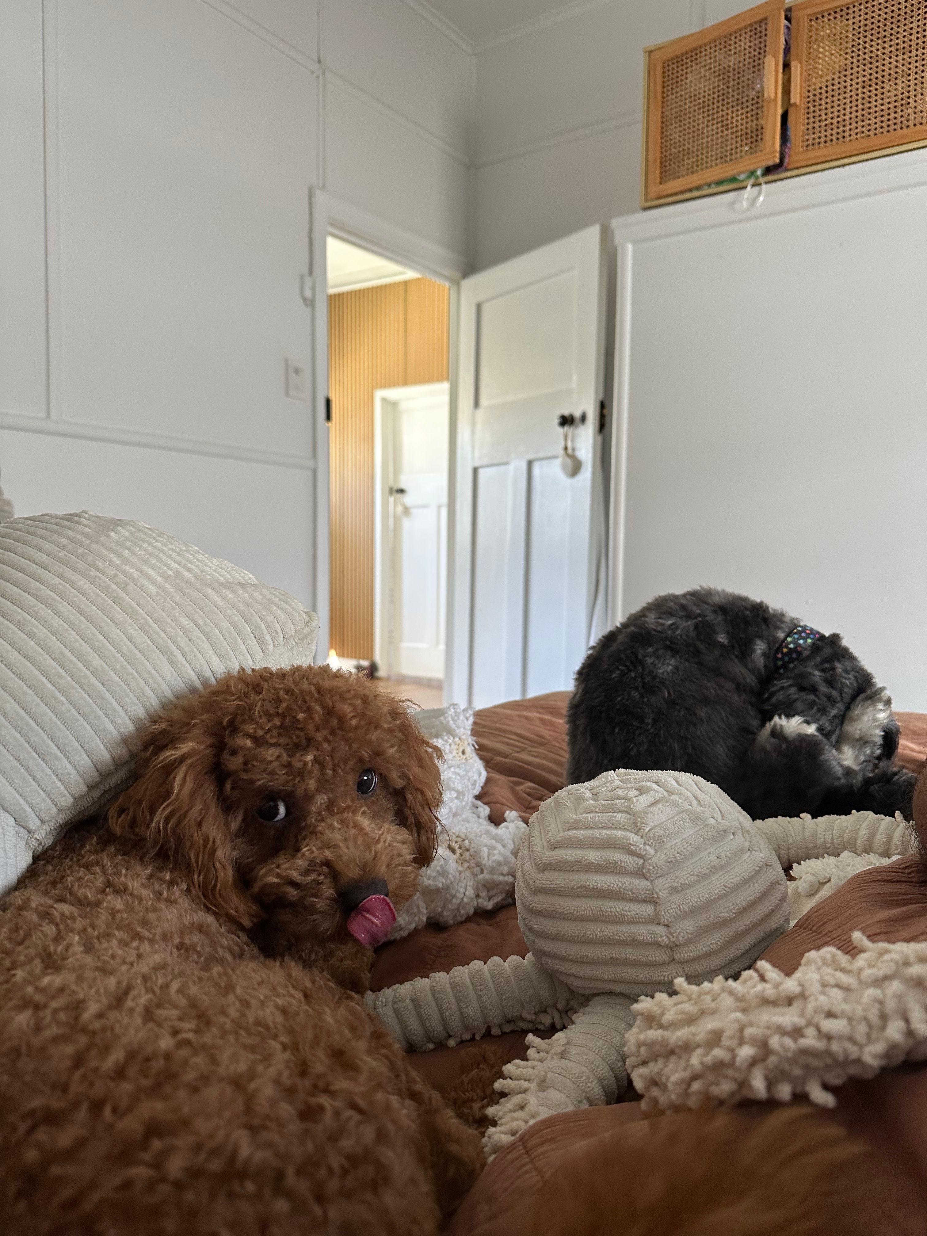 image-6