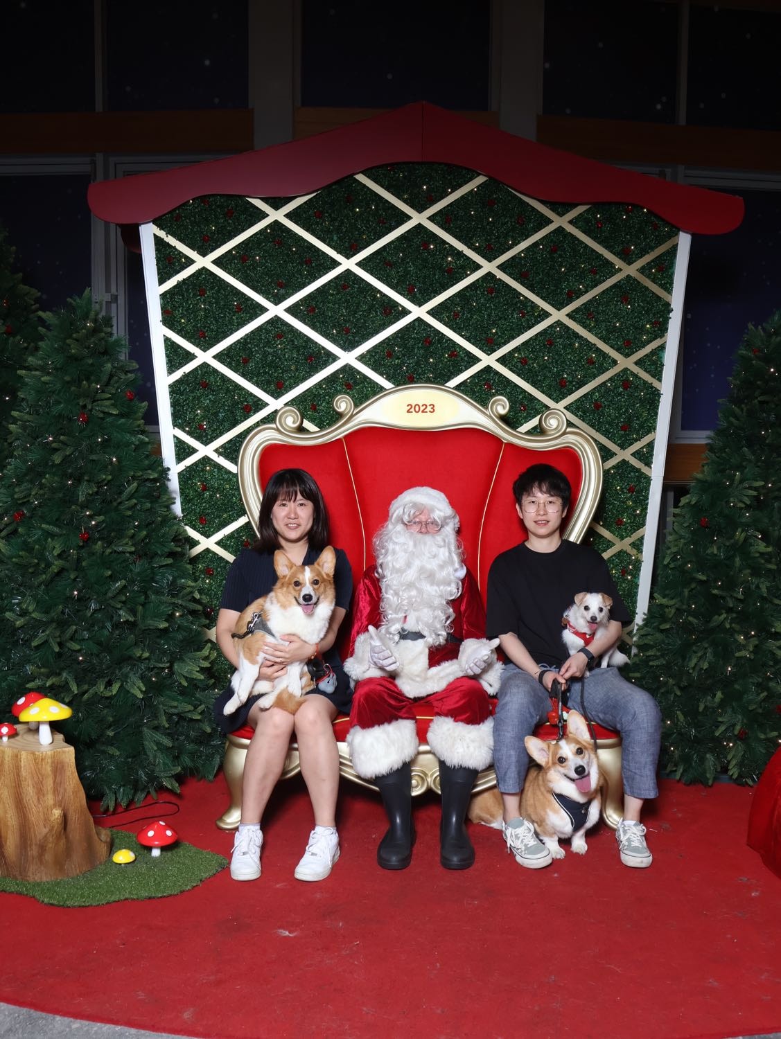 image-4