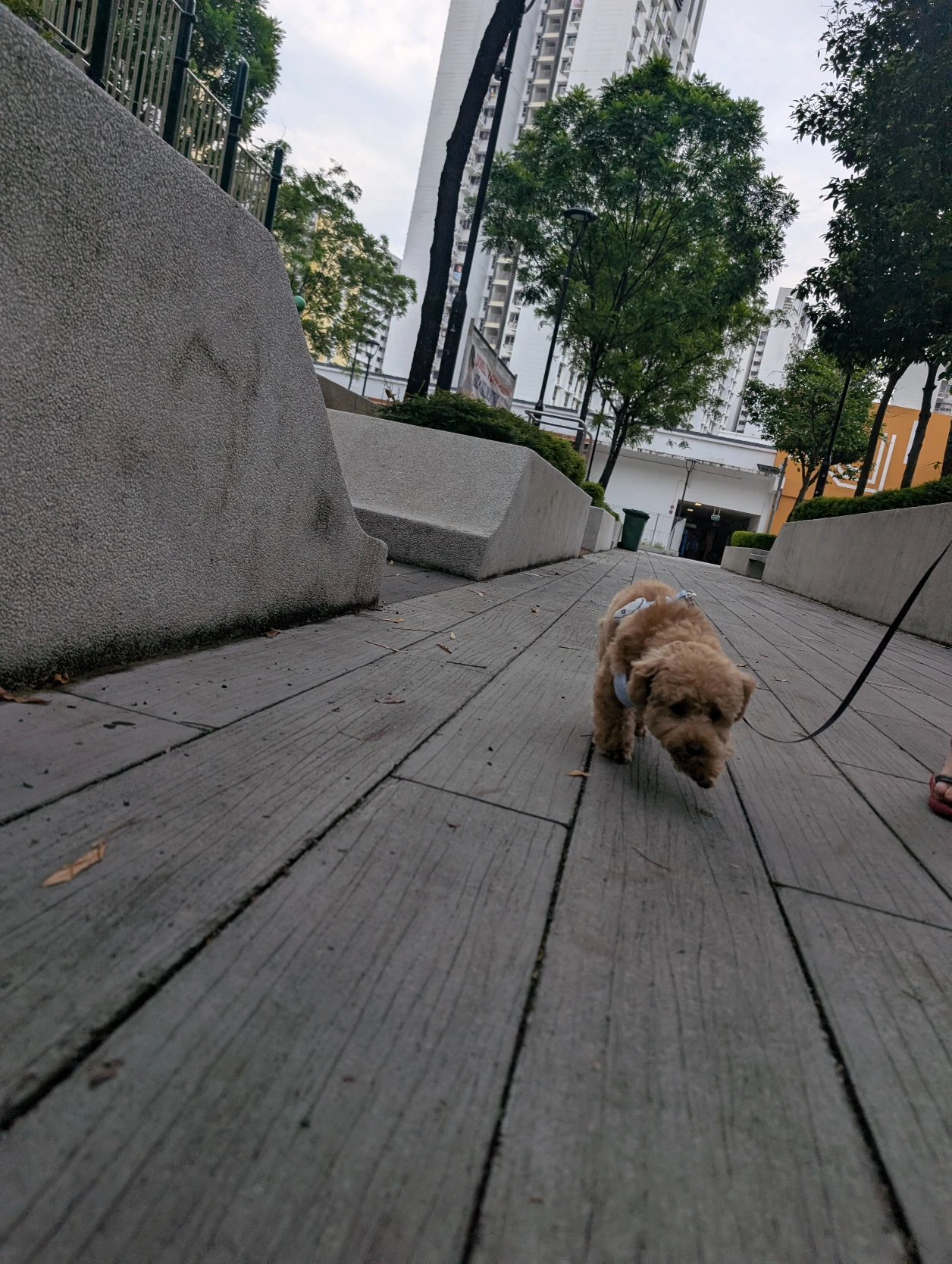 image-12