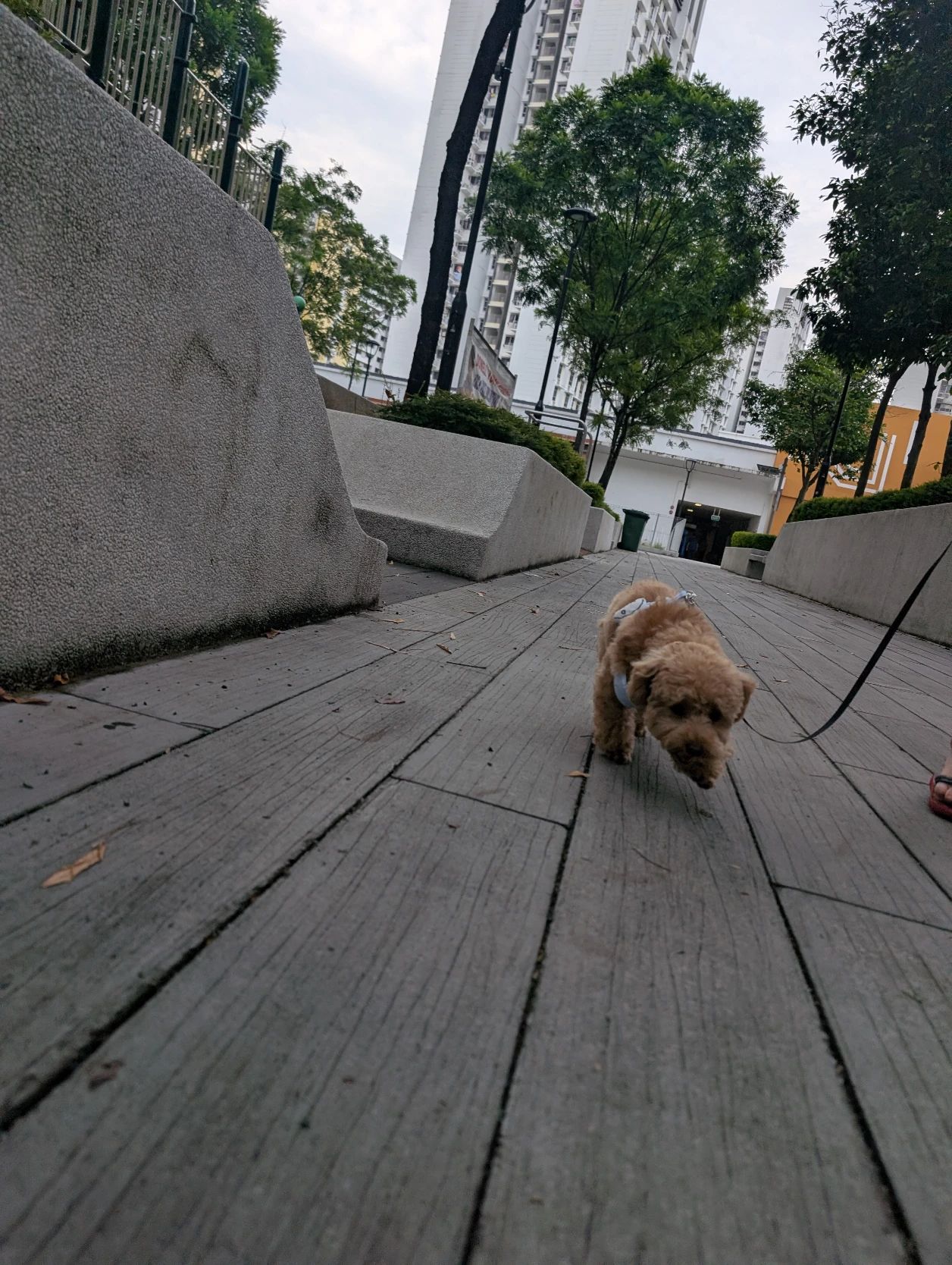 image-12