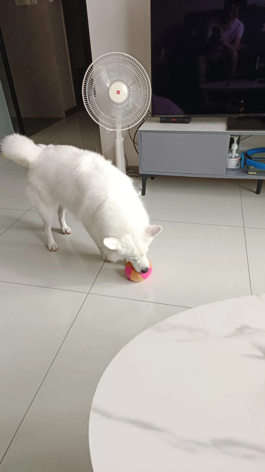 image-16