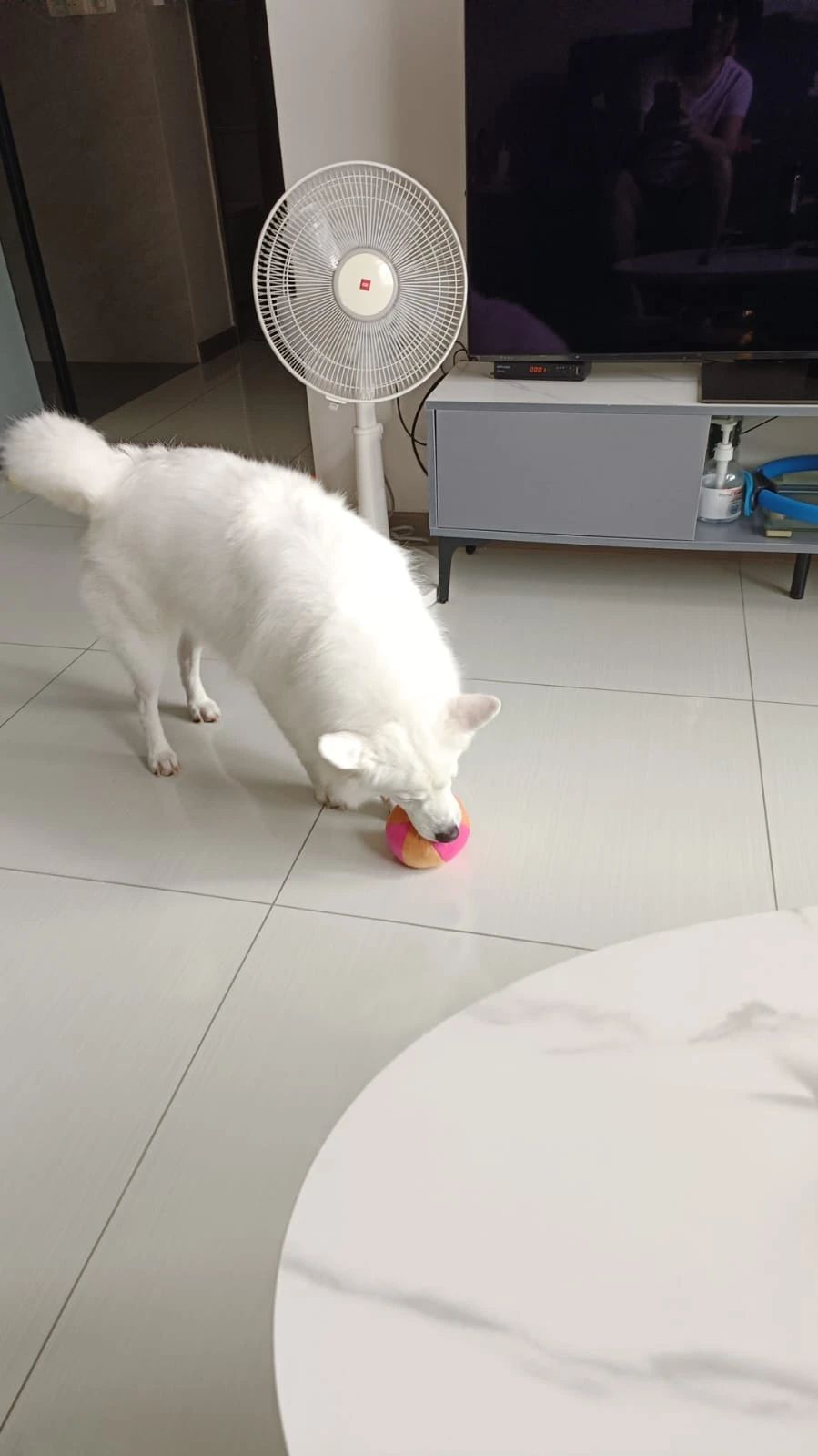 image-16